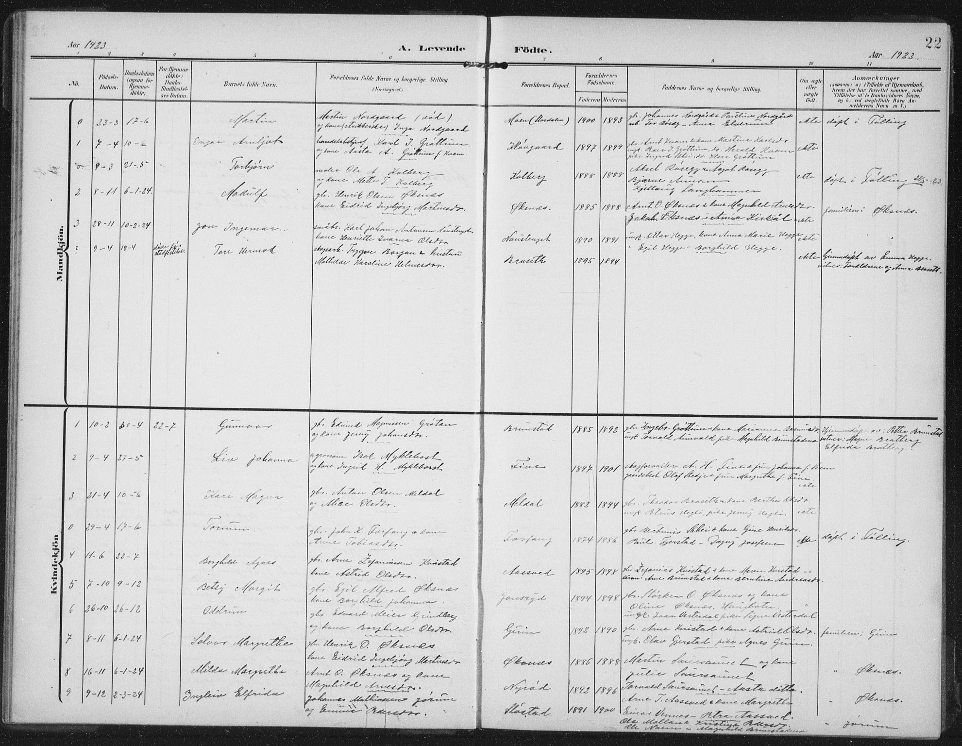 Ministerialprotokoller, klokkerbøker og fødselsregistre - Nord-Trøndelag, SAT/A-1458/747/L0460: Parish register (copy) no. 747C02, 1908-1939, p. 22