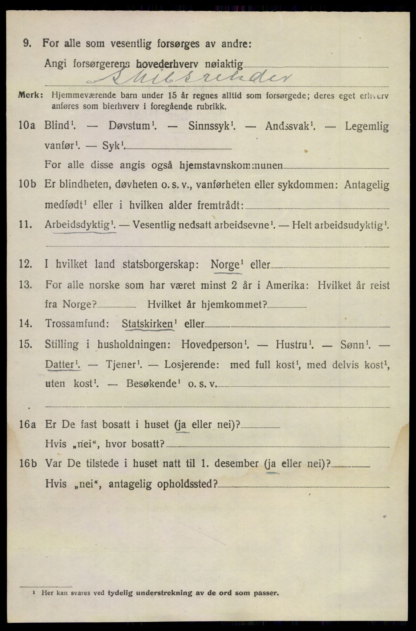 SAKO, 1920 census for Sandeherred, 1920, p. 11913