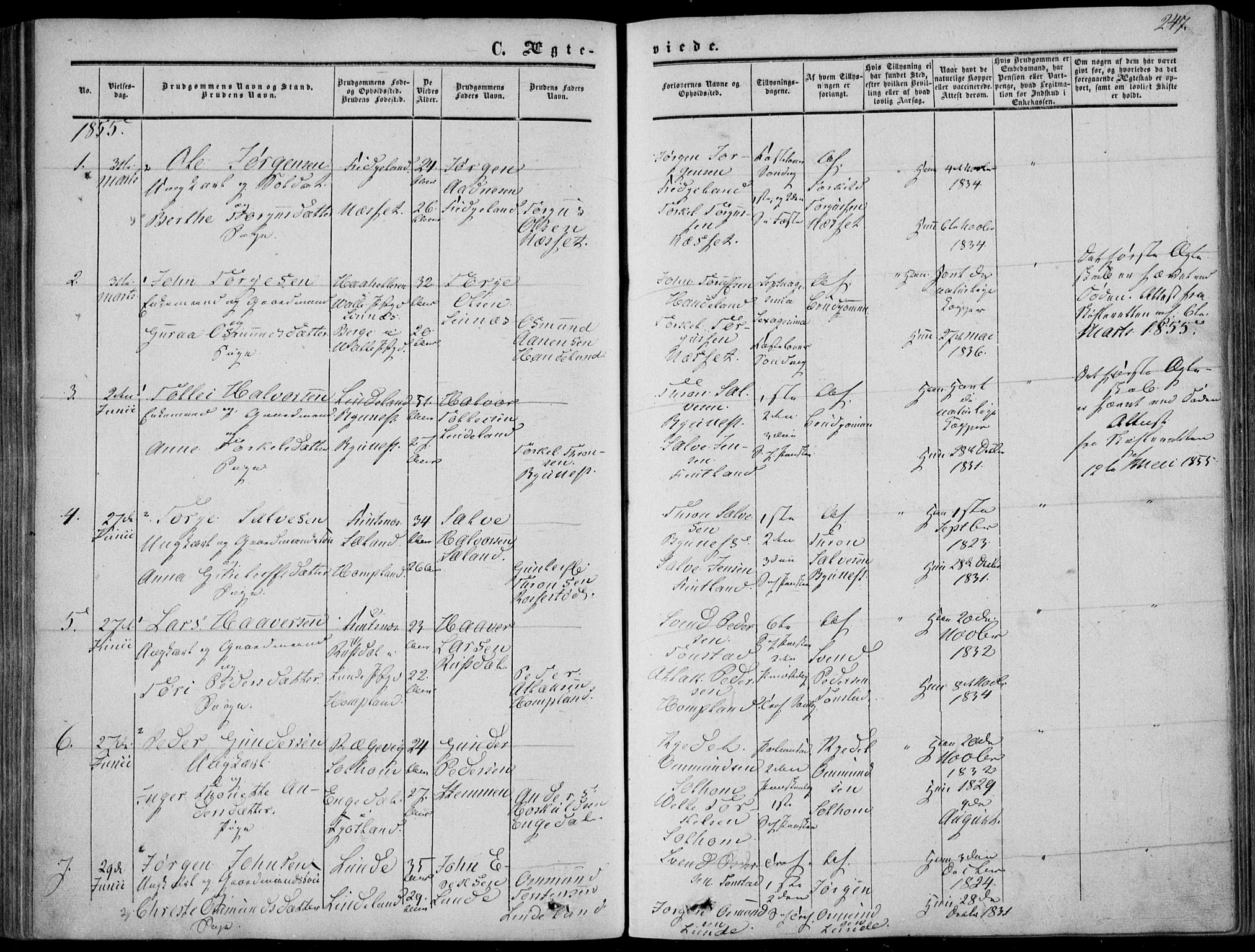 Sirdal sokneprestkontor, SAK/1111-0036/F/Fa/Fab/L0002: Parish register (official) no. A 2, 1855-1874, p. 247