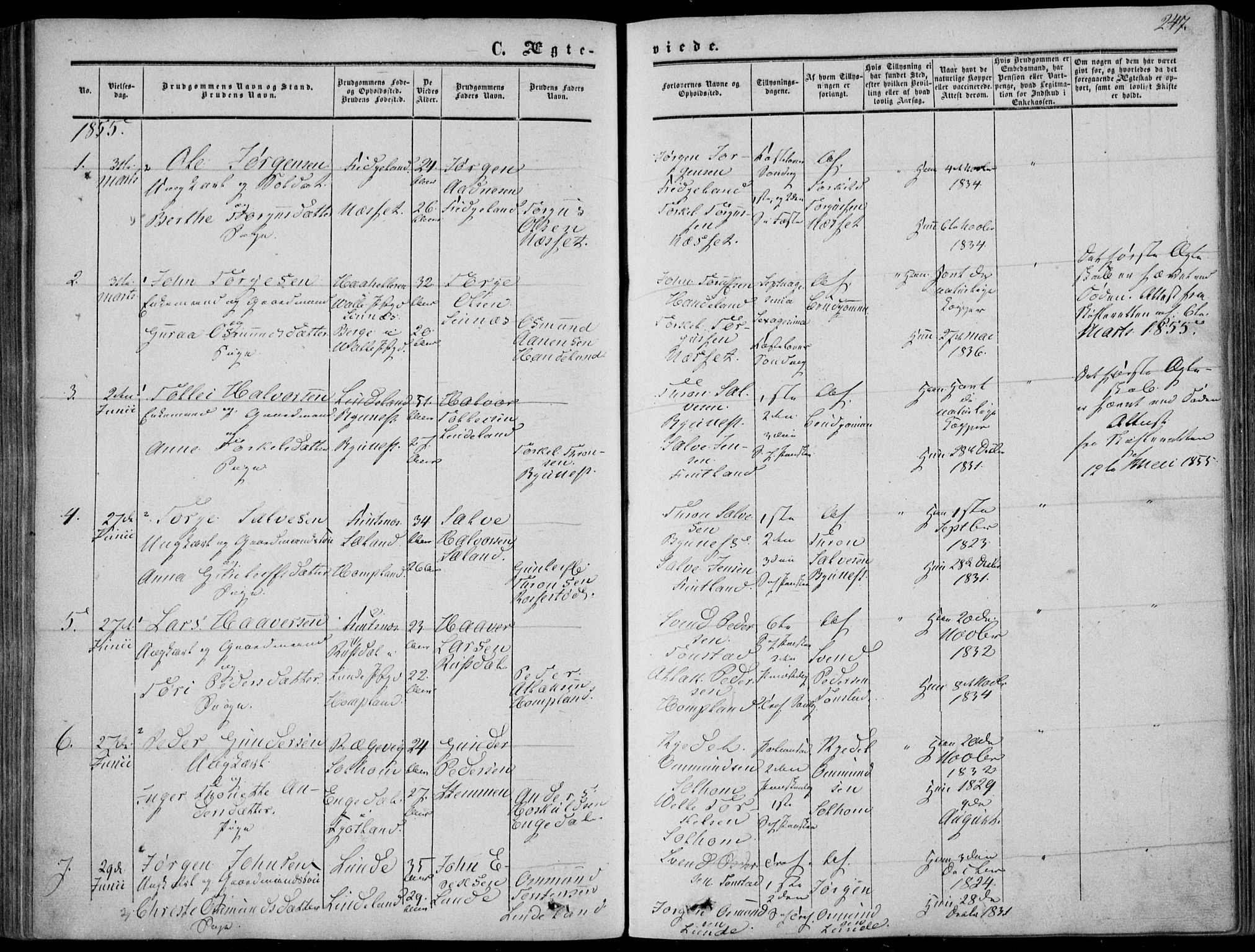 Sirdal sokneprestkontor, AV/SAK-1111-0036/F/Fa/Fab/L0002: Parish register (official) no. A 2, 1855-1874, p. 247