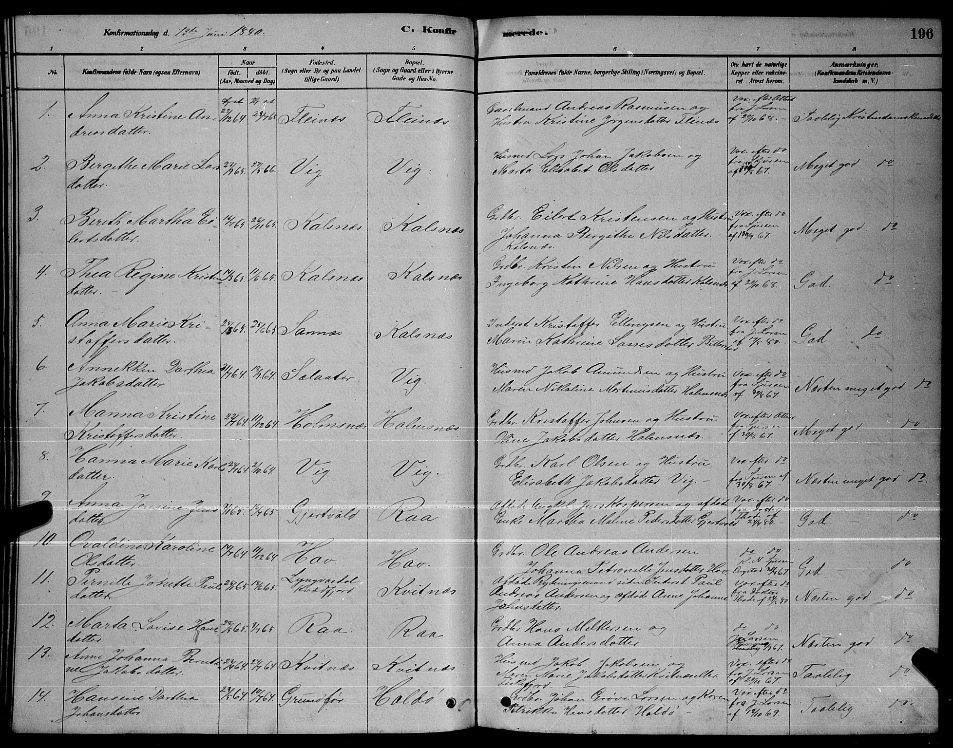 Ministerialprotokoller, klokkerbøker og fødselsregistre - Nordland, AV/SAT-A-1459/888/L1267: Parish register (copy) no. 888C05, 1878-1890, p. 196