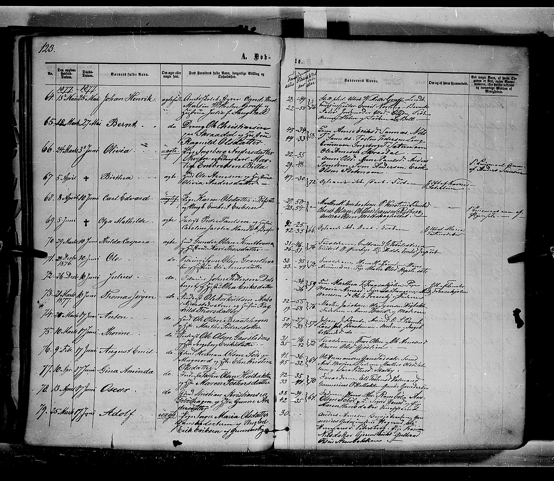 Eidskog prestekontor, AV/SAH-PREST-026/H/Ha/Haa/L0002: Parish register (official) no. 2, 1867-1878, p. 123