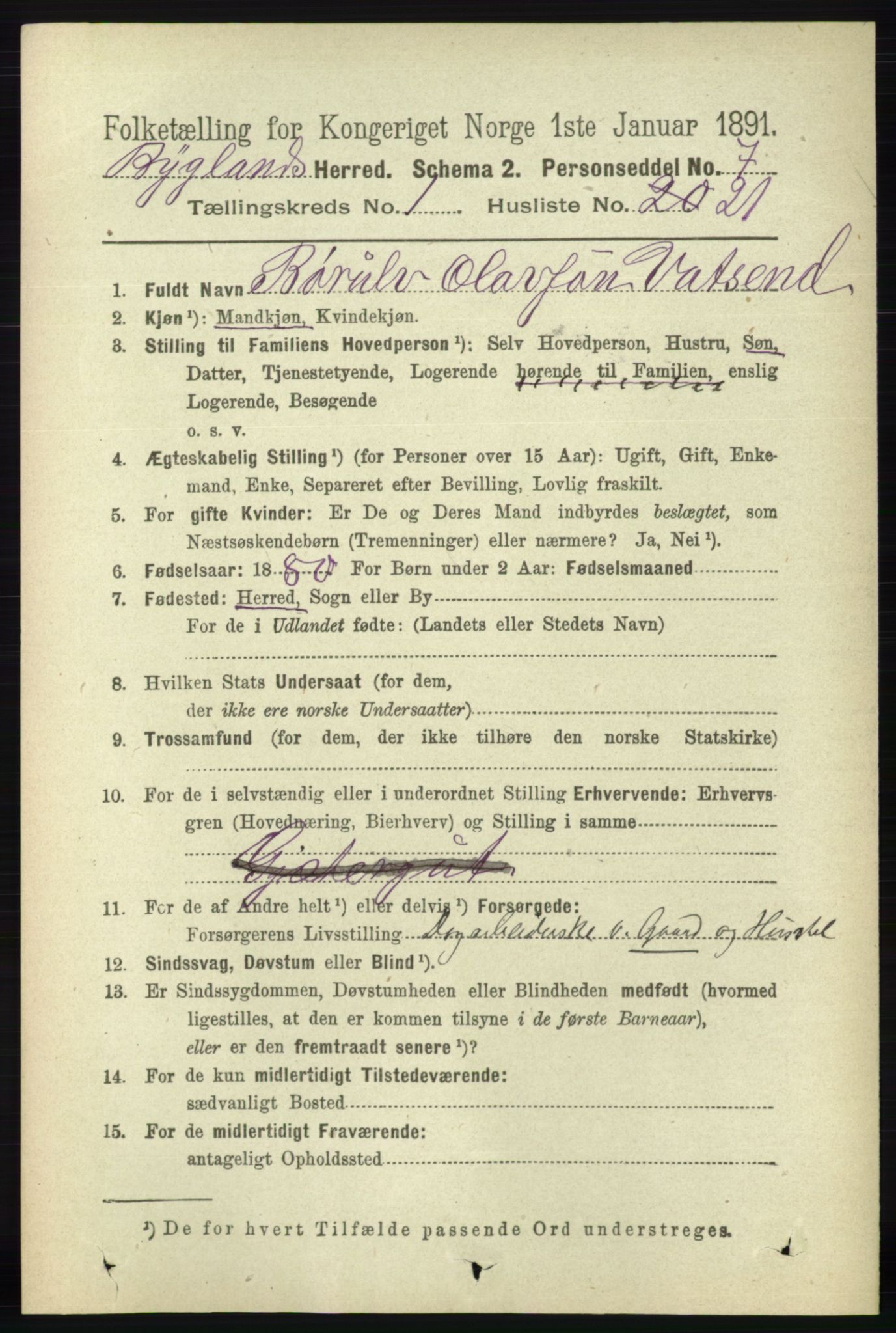 RA, 1891 census for 0938 Bygland, 1891, p. 204