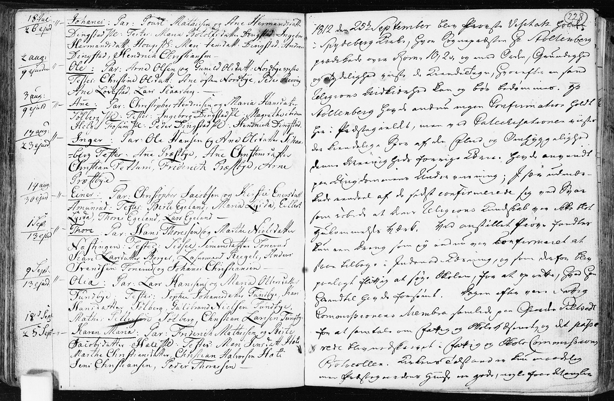 Spydeberg prestekontor Kirkebøker, AV/SAO-A-10924/F/Fa/L0003: Parish register (official) no. I 3, 1778-1814, p. 228