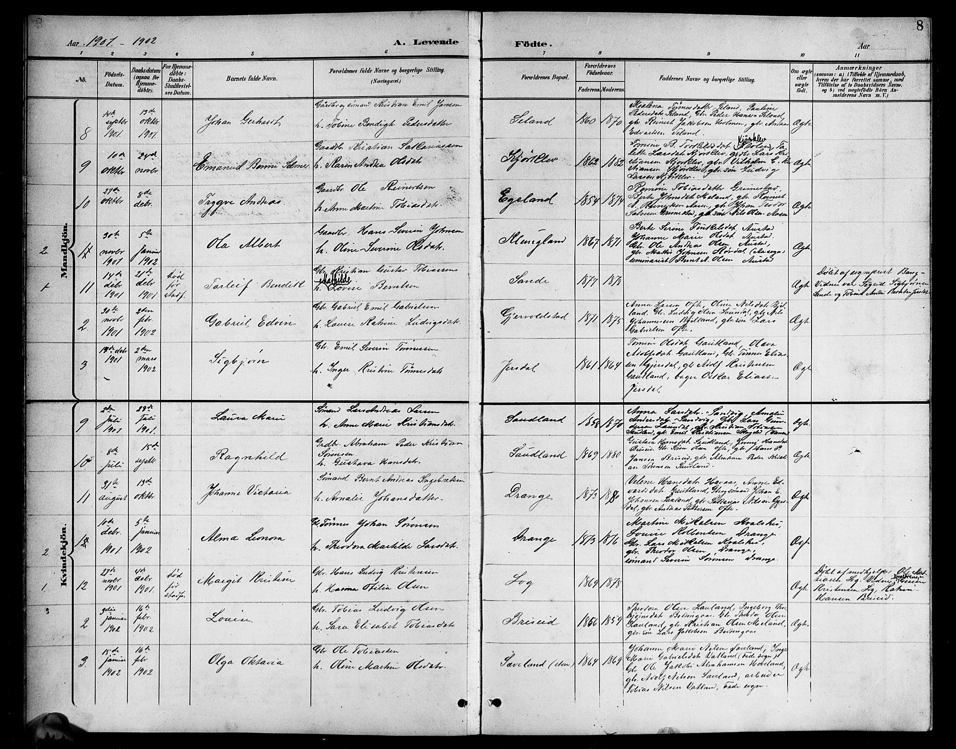 Herad sokneprestkontor, SAK/1111-0018/F/Fb/Fba/L0005: Parish register (copy) no. B 5, 1899-1921, p. 8