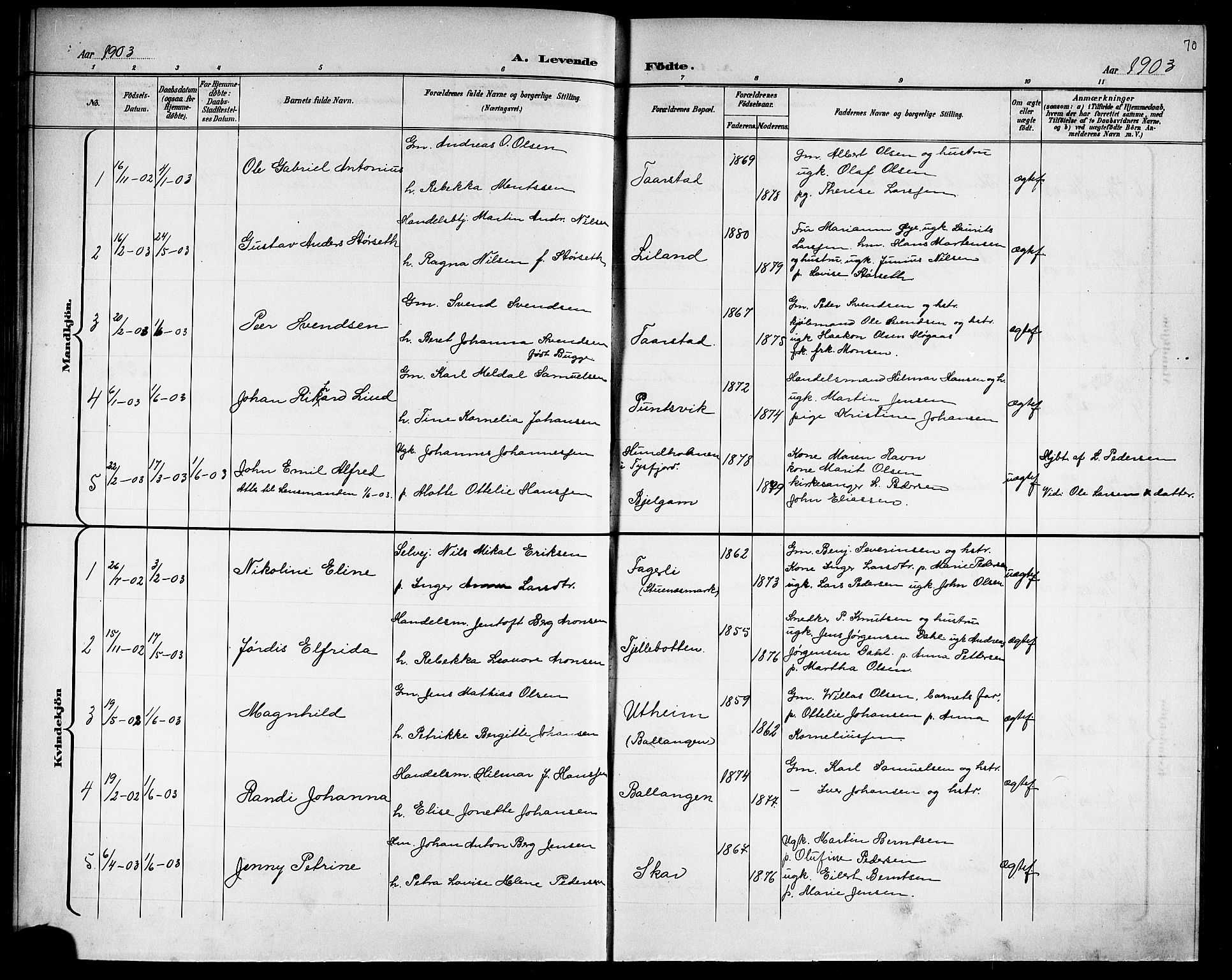 Ministerialprotokoller, klokkerbøker og fødselsregistre - Nordland, AV/SAT-A-1459/863/L0915: Parish register (copy) no. 863C05, 1898-1907, p. 70