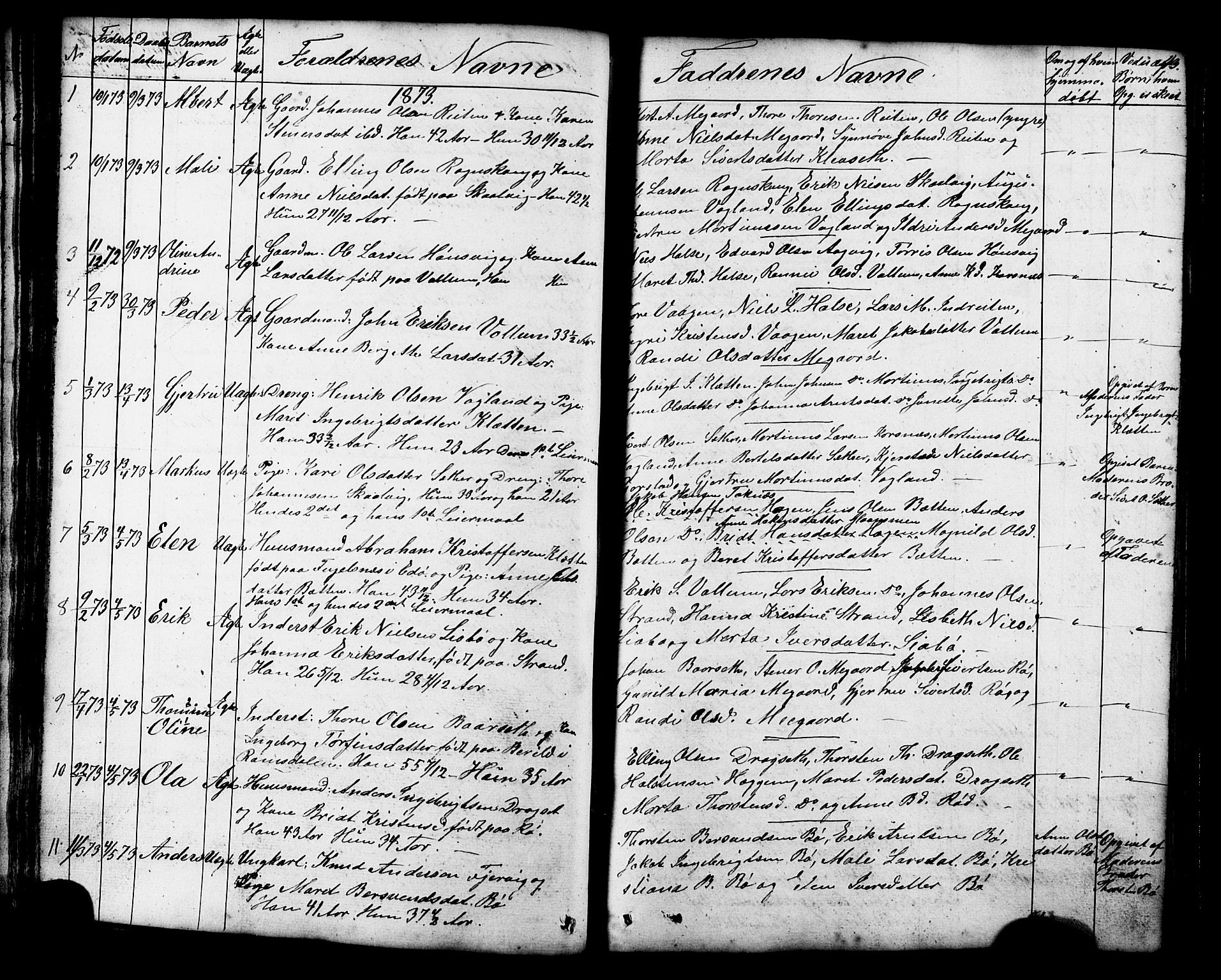 Ministerialprotokoller, klokkerbøker og fødselsregistre - Møre og Romsdal, SAT/A-1454/576/L0890: Parish register (copy) no. 576C01, 1837-1908, p. 43