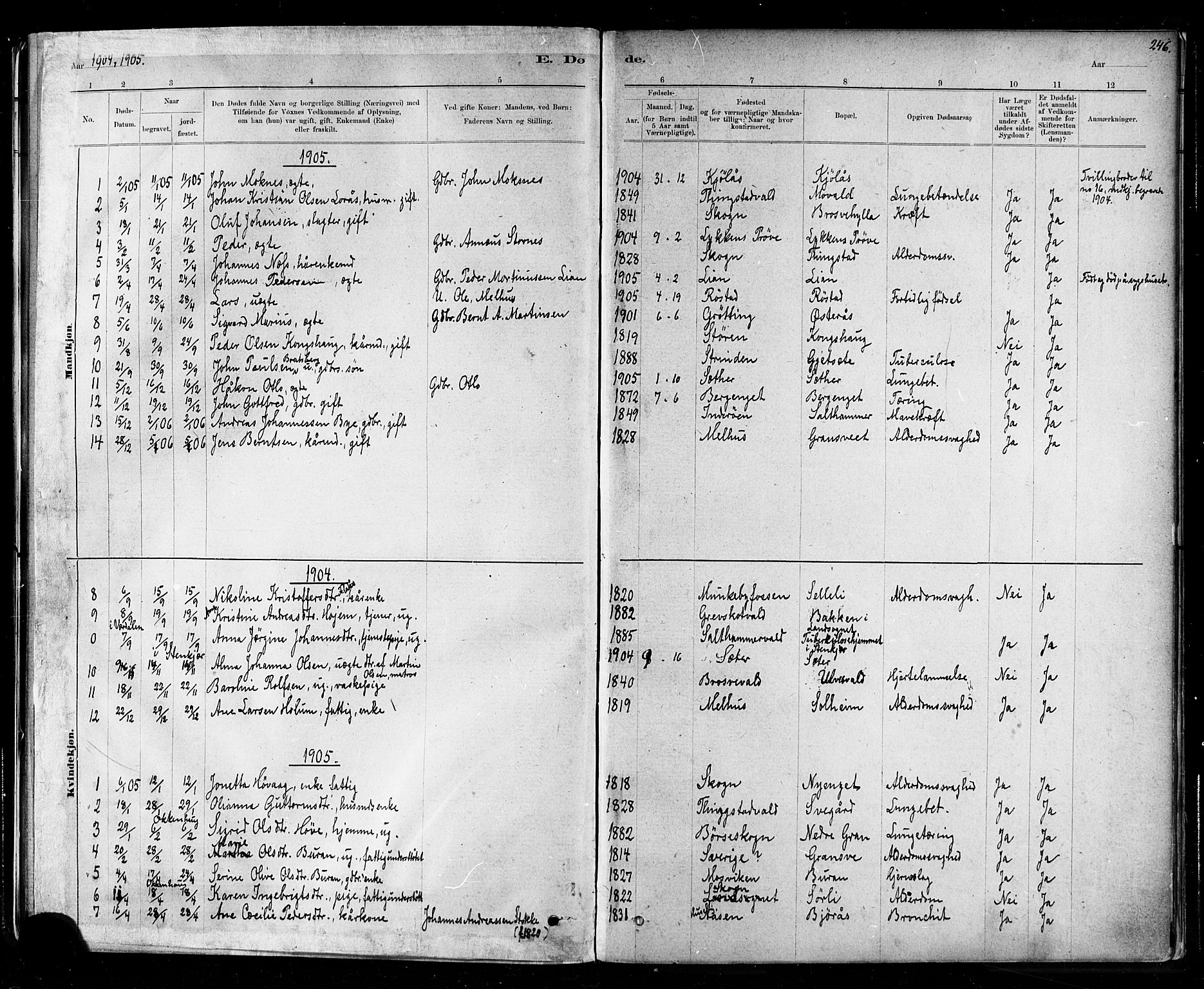 Ministerialprotokoller, klokkerbøker og fødselsregistre - Nord-Trøndelag, AV/SAT-A-1458/721/L0208: Parish register (copy) no. 721C01, 1880-1917, p. 246