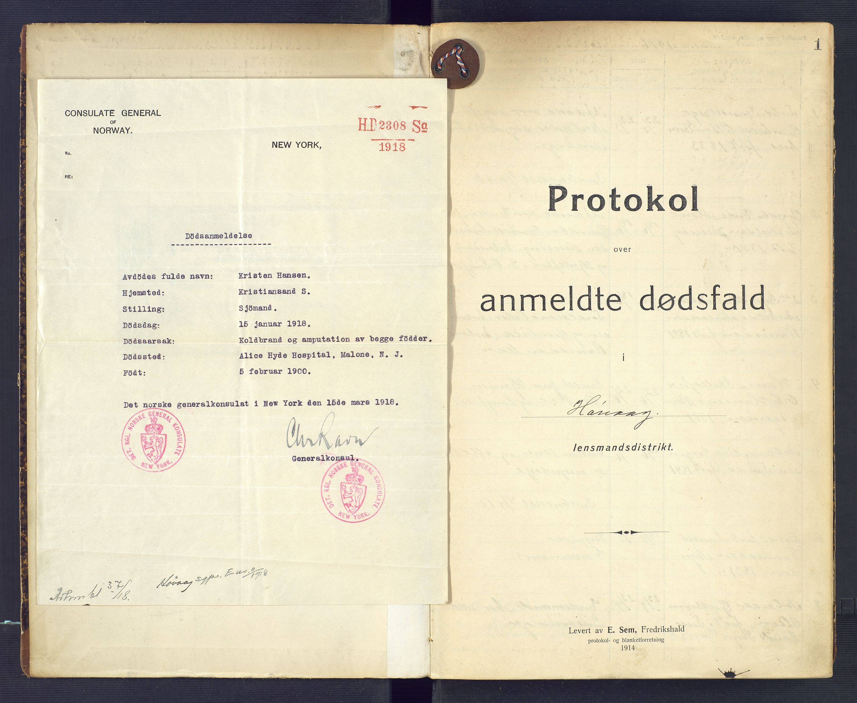 Høvåg lensmannskontor, SAK/1241-0024/F/Fe/L0041: Protokoll over anmeldte dødsfall, 1916-1933, p. 1