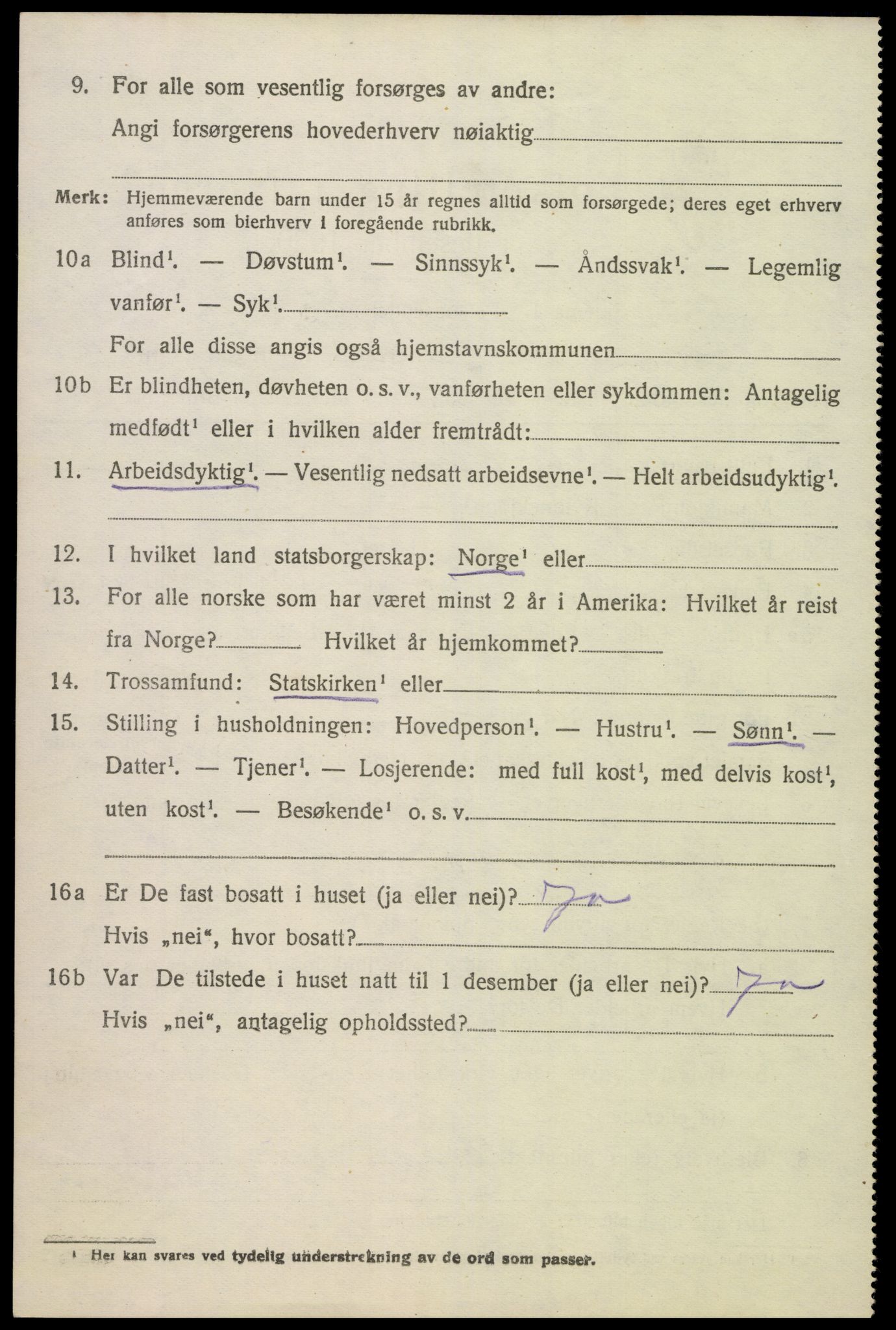 SAK, 1920 census for Hornnes, 1920, p. 564