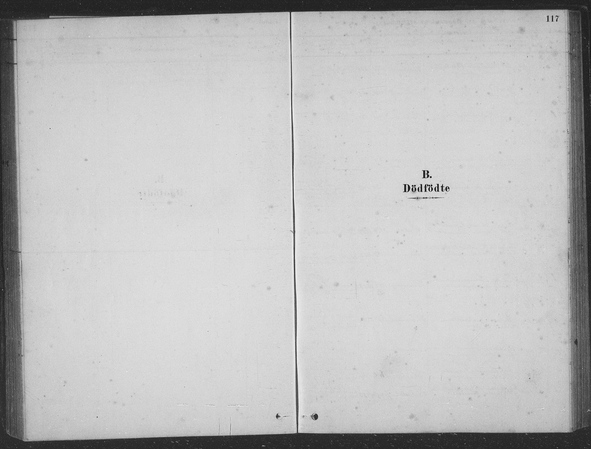 Vaksdal Sokneprestembete, SAB/A-78901/H/Hab: Parish register (copy) no. D 1, 1878-1939, p. 117
