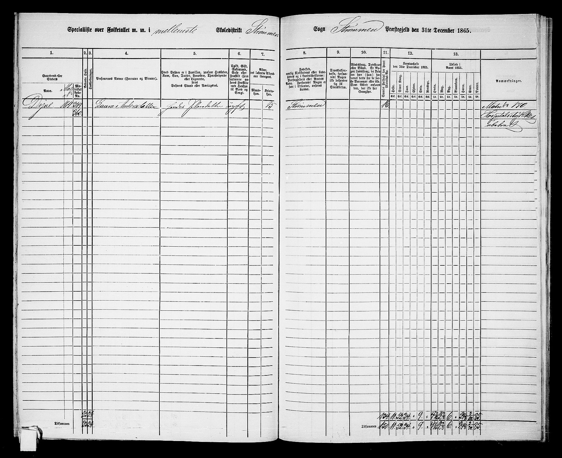 RA, 1865 census for Strømm, 1865, p. 34