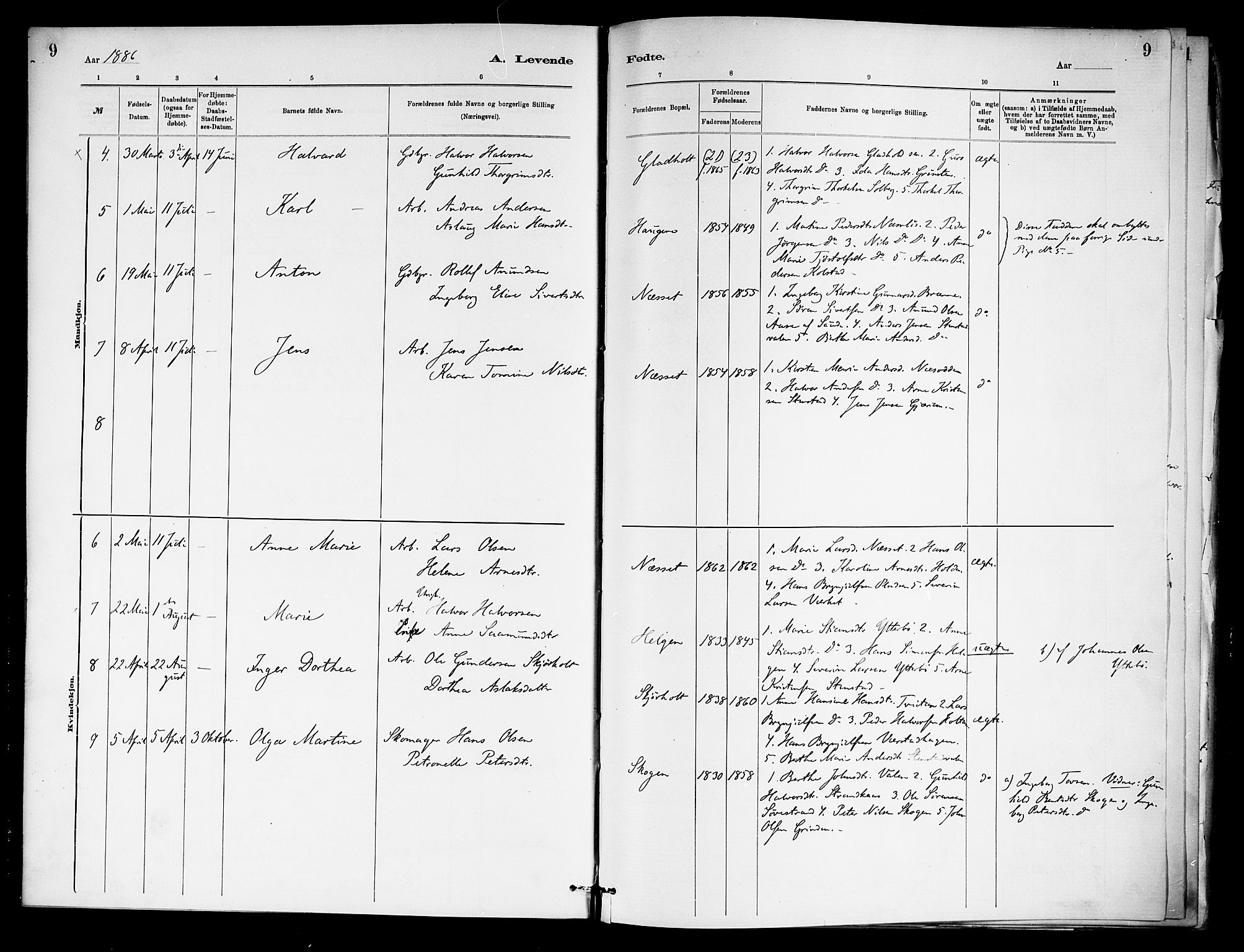 Holla kirkebøker, AV/SAKO-A-272/F/Fa/L0009: Parish register (official) no. 9, 1881-1897, p. 9