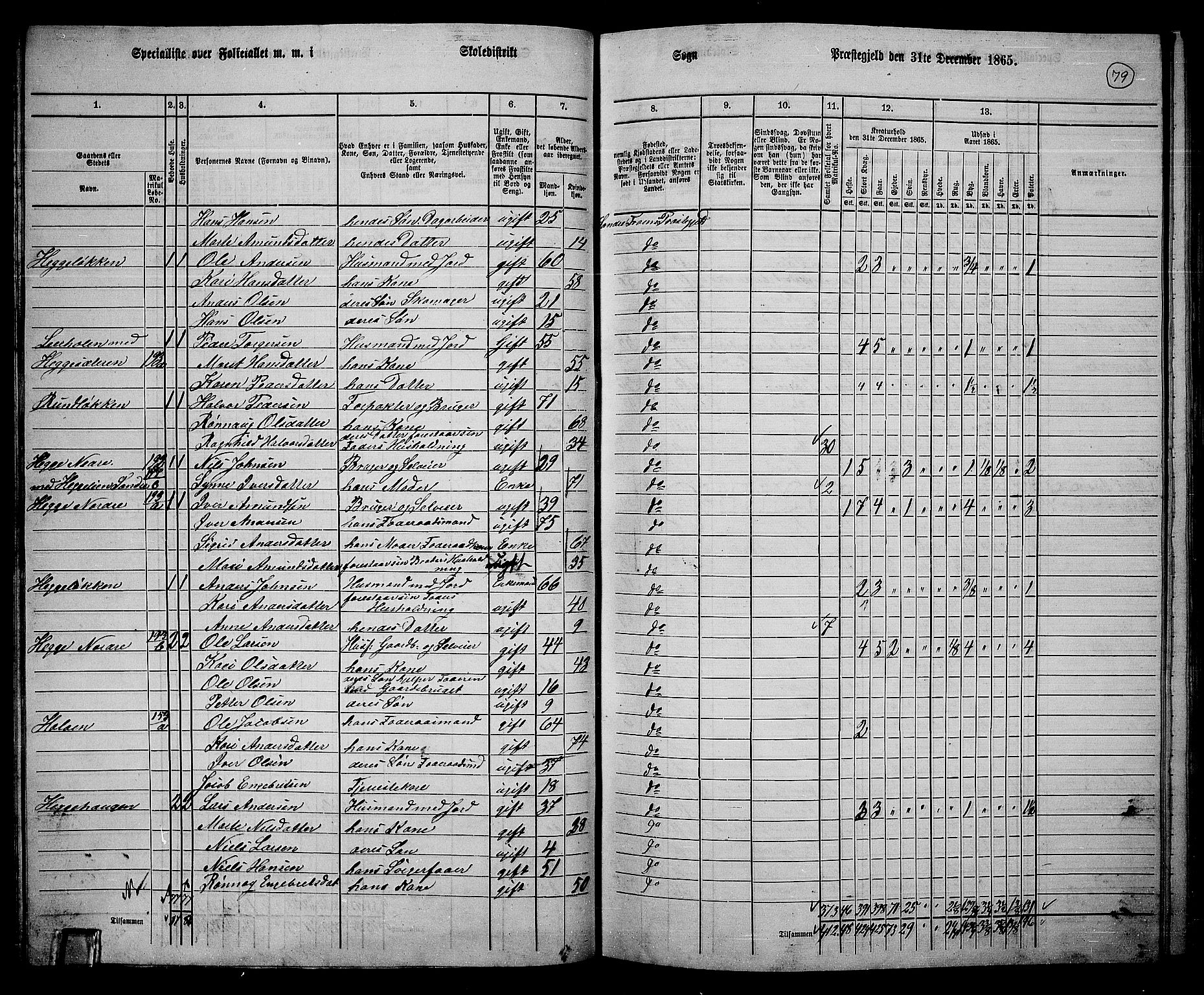 RA, 1865 census for Sør-Fron, 1865, p. 66