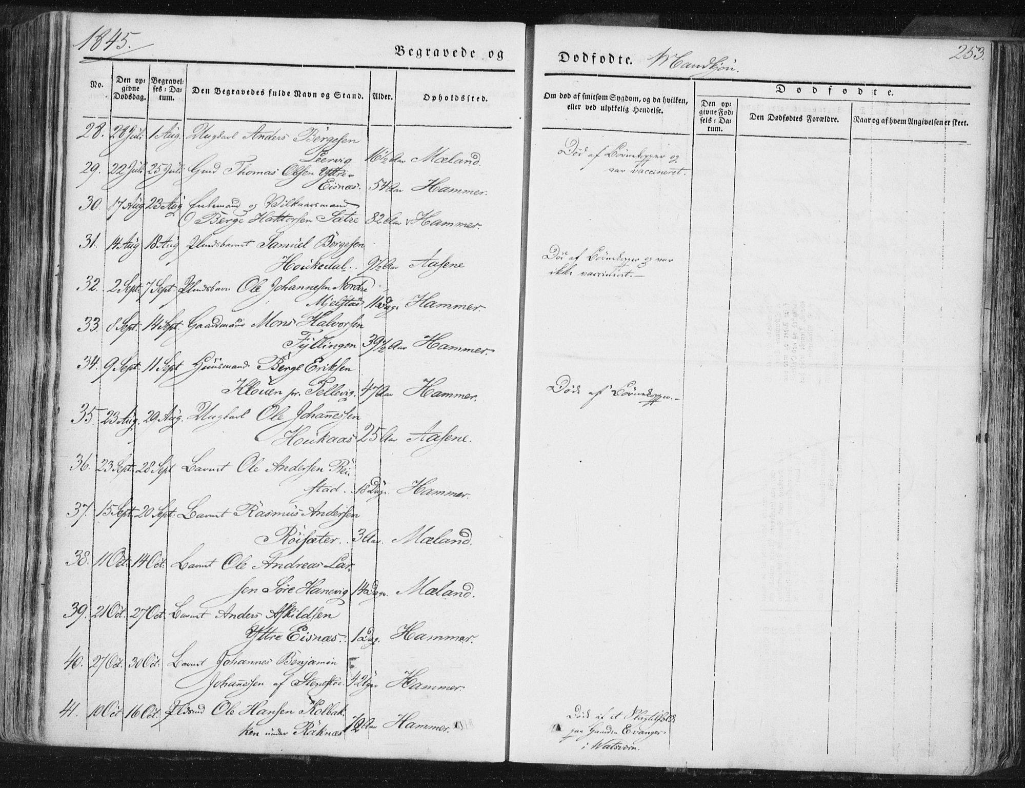 Hamre sokneprestembete, AV/SAB-A-75501/H/Ha/Haa/Haaa/L0012: Parish register (official) no. A 12, 1834-1845, p. 253