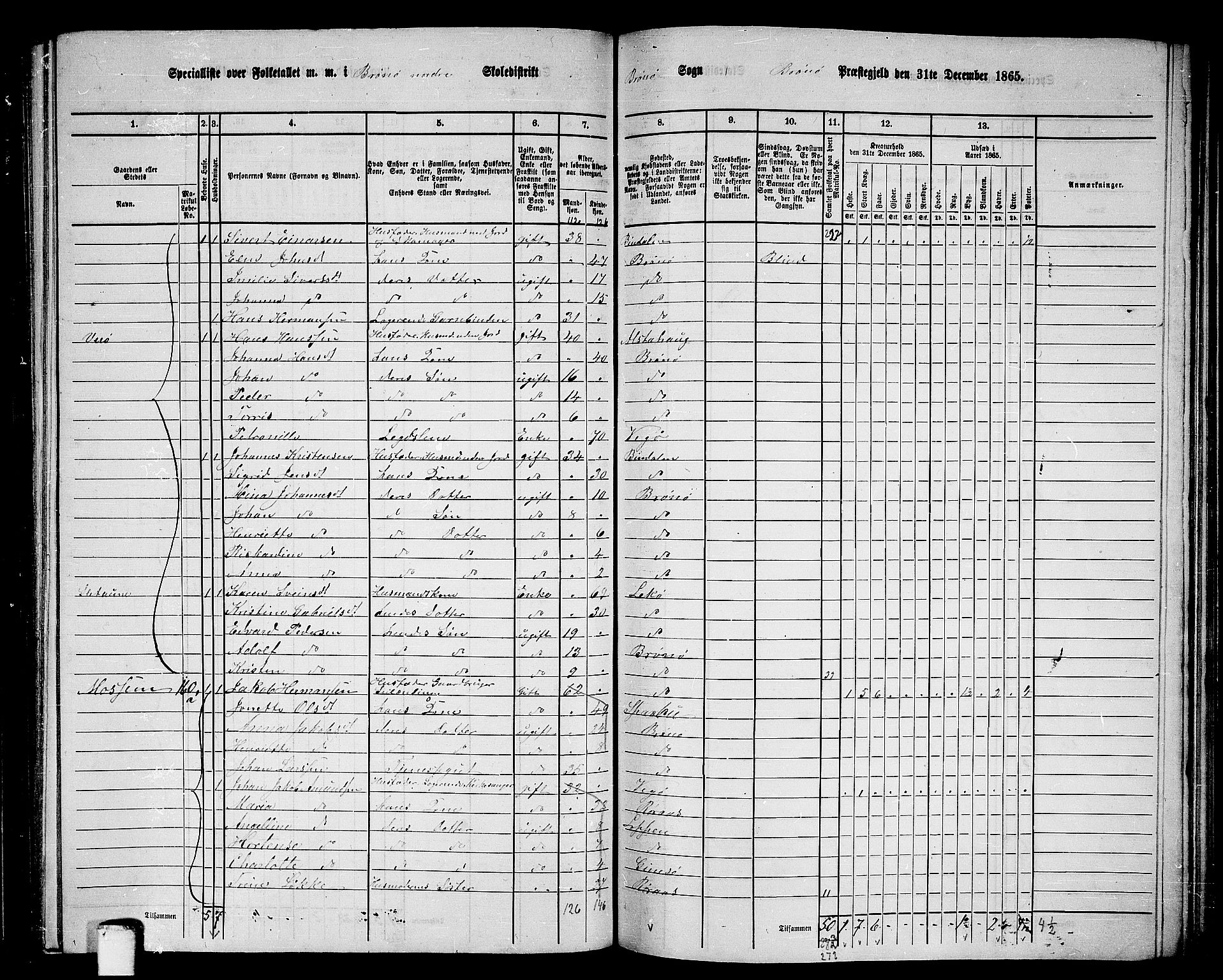 RA, 1865 census for Brønnøy, 1865, p. 155