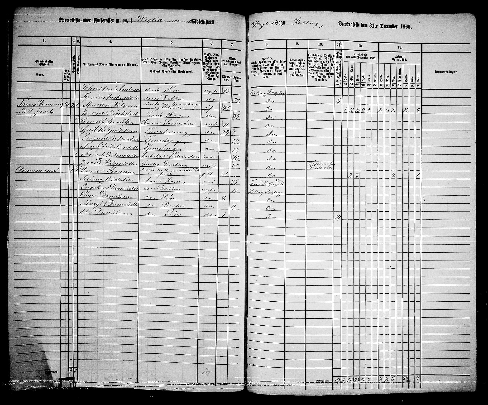 RA, 1865 census for Rollag, 1865, p. 66