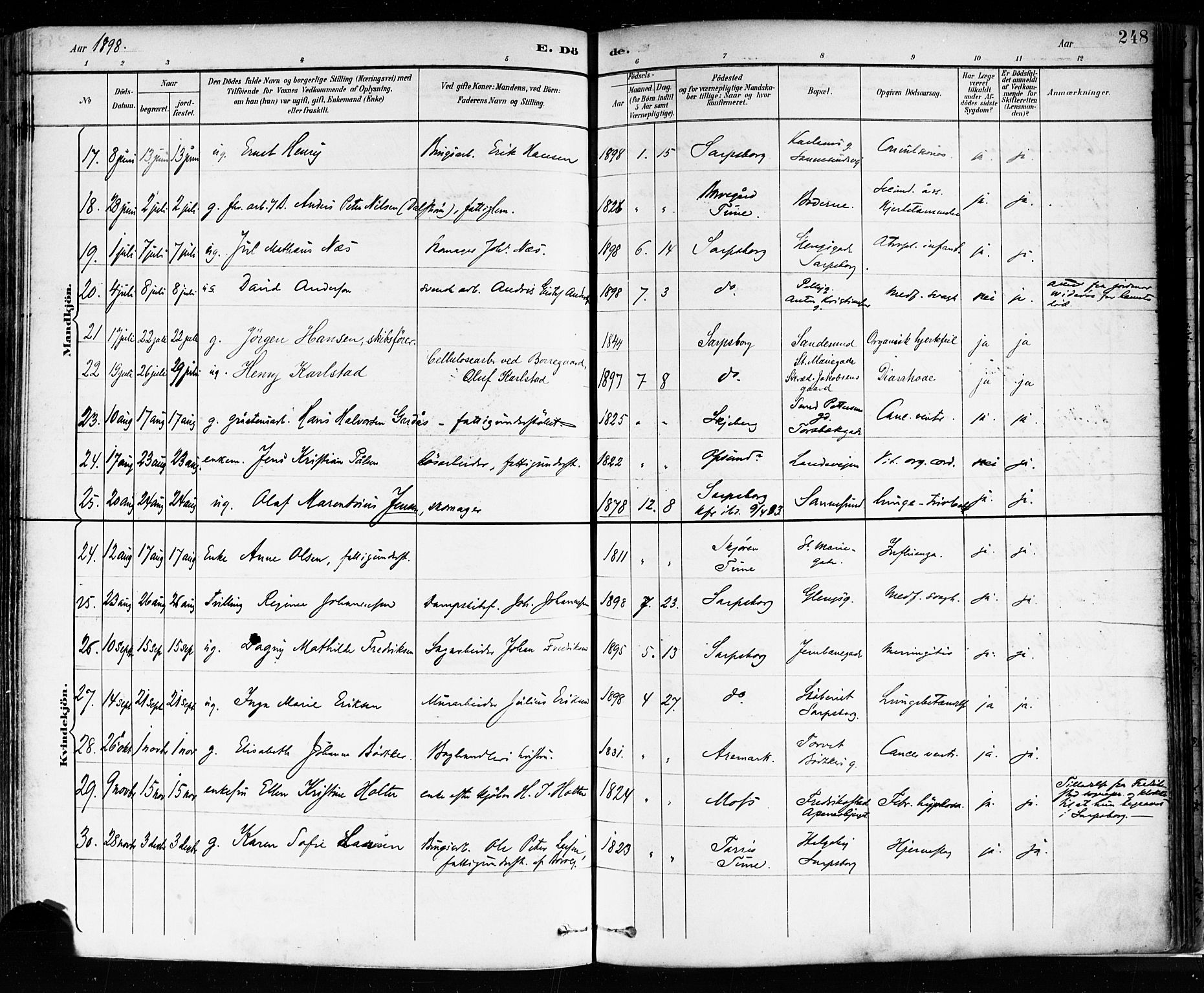 Sarpsborg prestekontor Kirkebøker, AV/SAO-A-2006/F/Fa/L0004: Parish register (official) no. 4, 1892-1899, p. 248