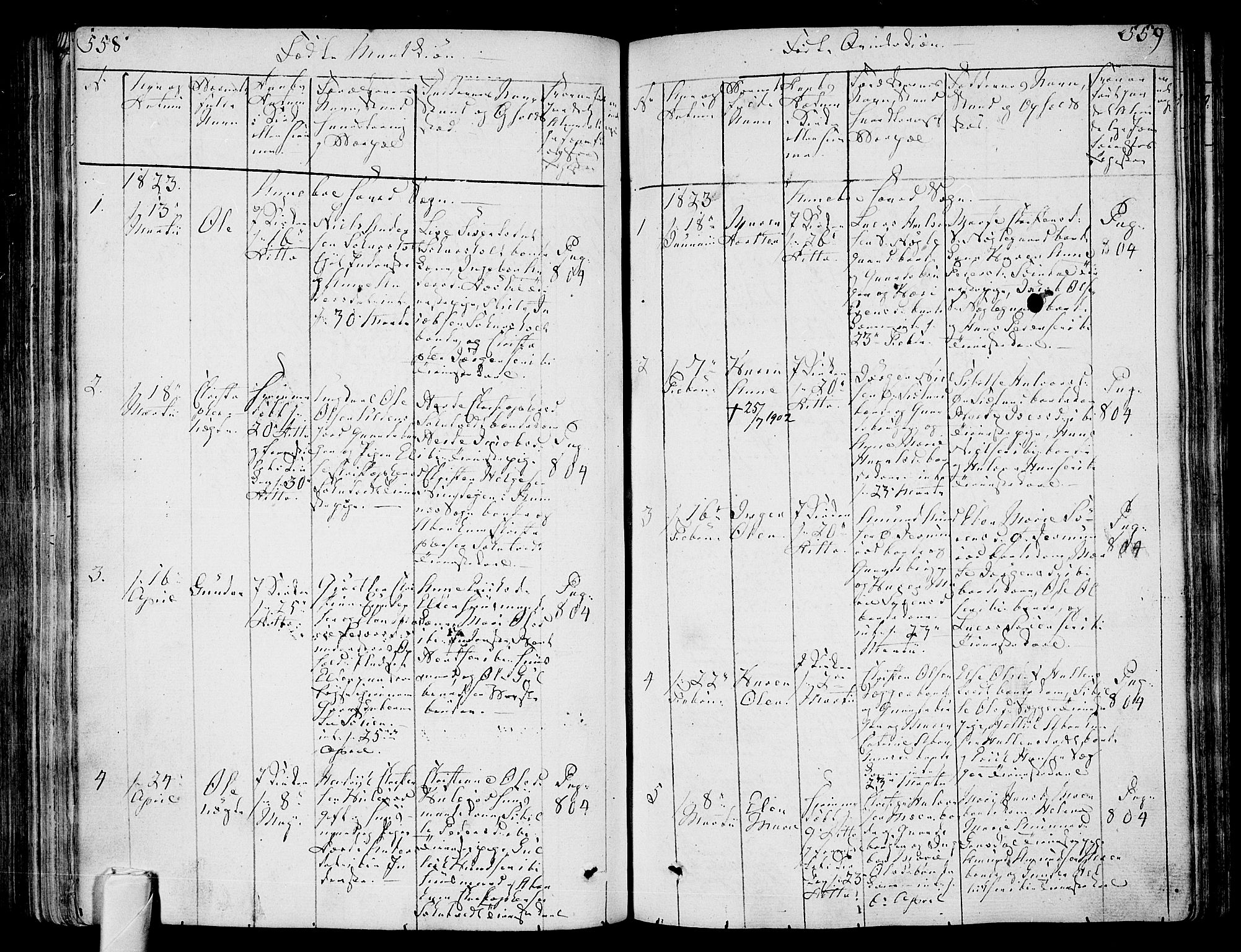 Andebu kirkebøker, SAKO/A-336/F/Fa/L0003: Parish register (official) no. 3 /1, 1803-1828, p. 558-559