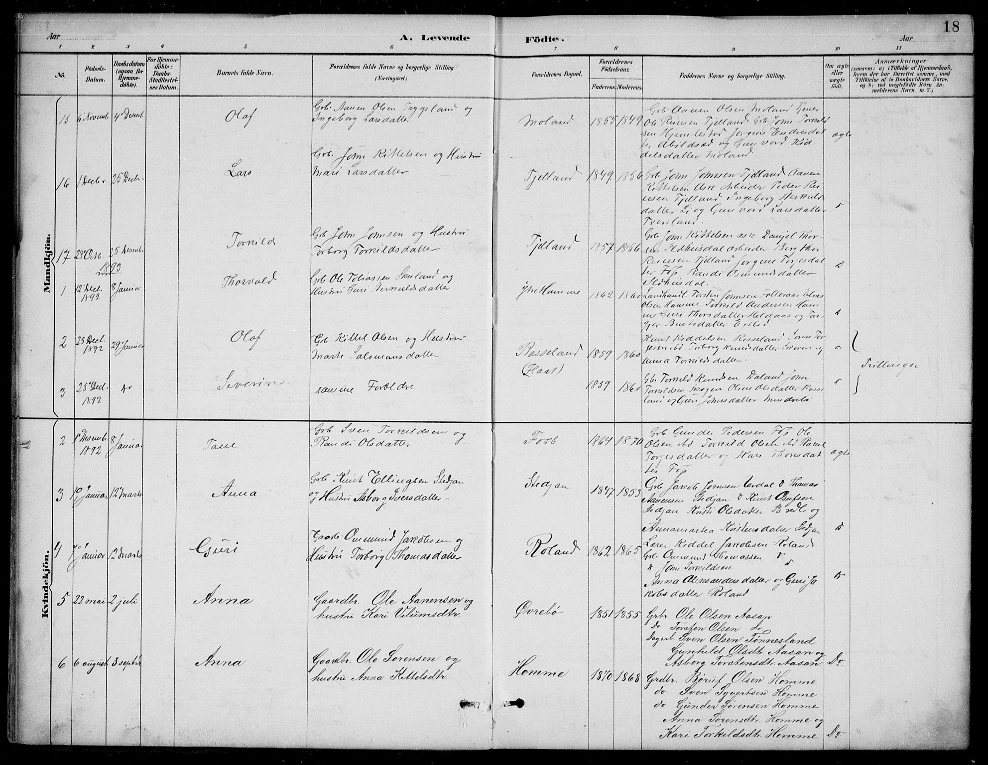 Bjelland sokneprestkontor, SAK/1111-0005/F/Fb/Fba/L0005: Parish register (copy) no. B 5, 1887-1923, p. 18
