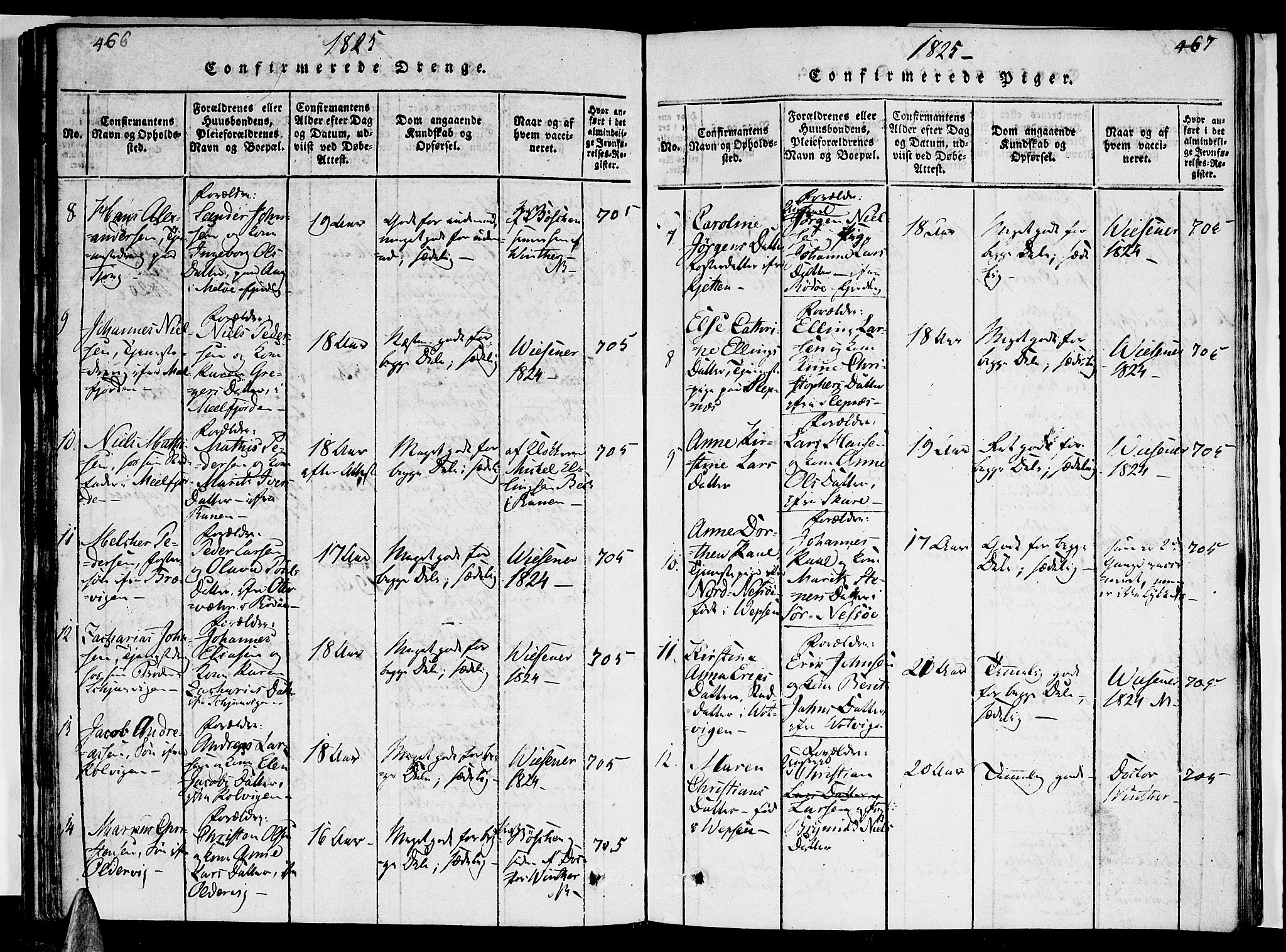 Ministerialprotokoller, klokkerbøker og fødselsregistre - Nordland, AV/SAT-A-1459/841/L0616: Parish register (copy) no. 841C01 /1, 1820-1832, p. 466-467