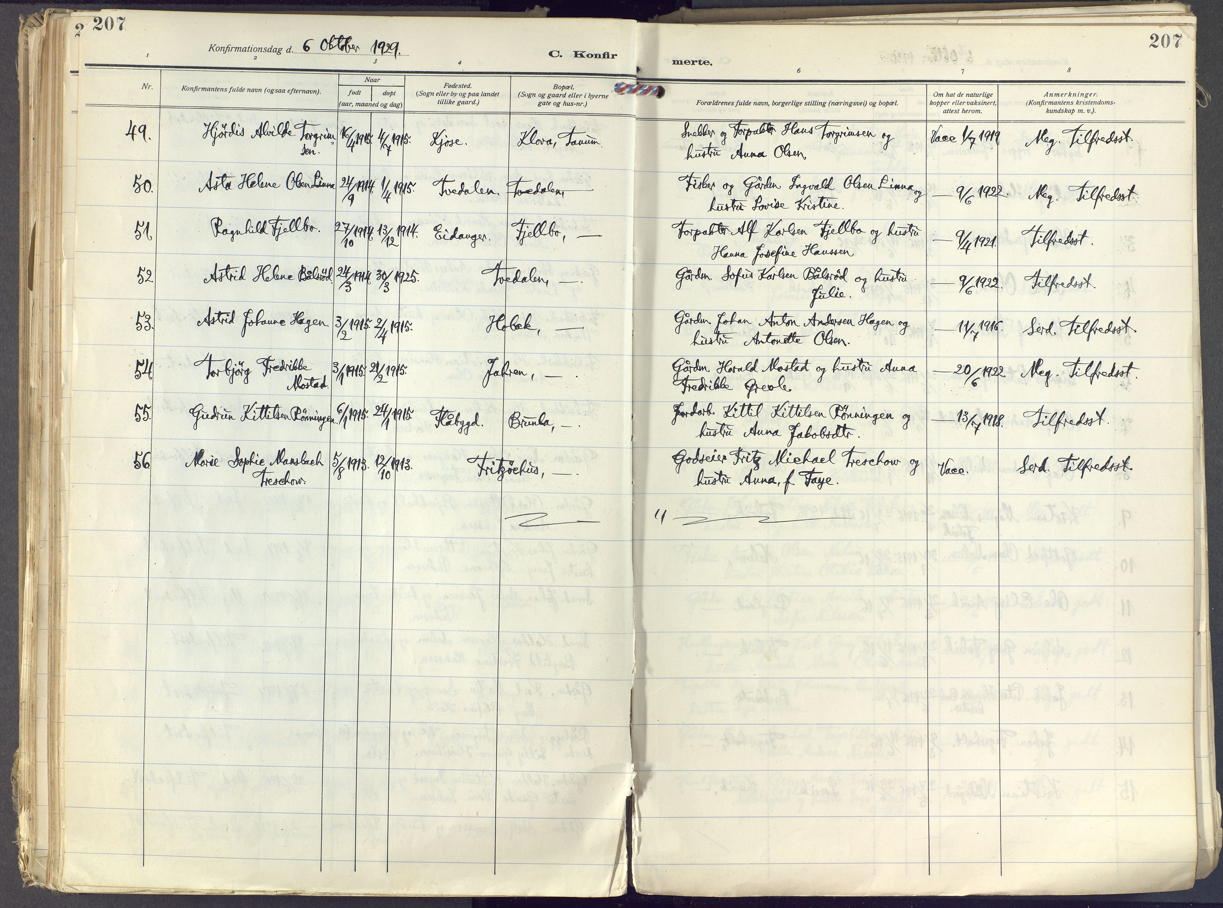 Brunlanes kirkebøker, AV/SAKO-A-342/F/Fc/L0004: Parish register (official) no. III 4, 1923-1943, p. 207