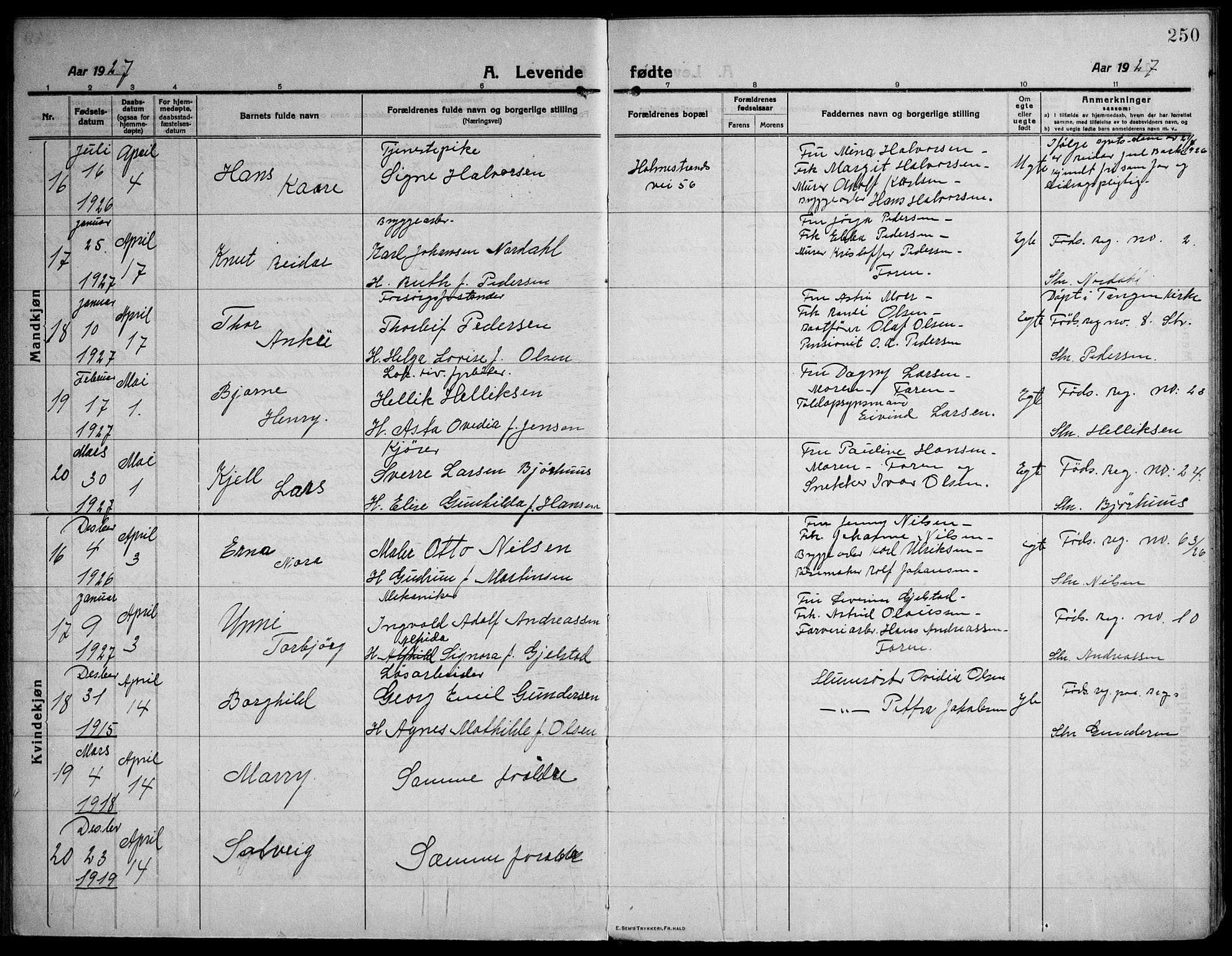 Strømsø kirkebøker, AV/SAKO-A-246/F/Fa/L0029: Parish register (official) no. I 27, 1915-1930, p. 250