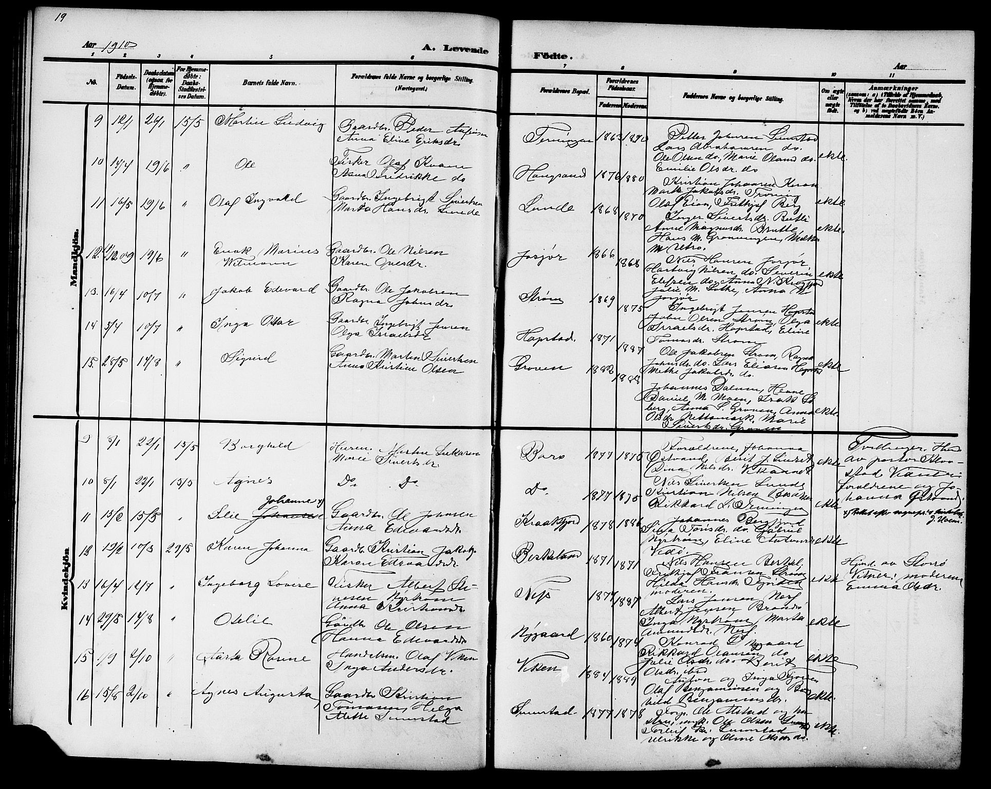 Ministerialprotokoller, klokkerbøker og fødselsregistre - Sør-Trøndelag, SAT/A-1456/657/L0717: Parish register (copy) no. 657C04, 1904-1923, p. 19