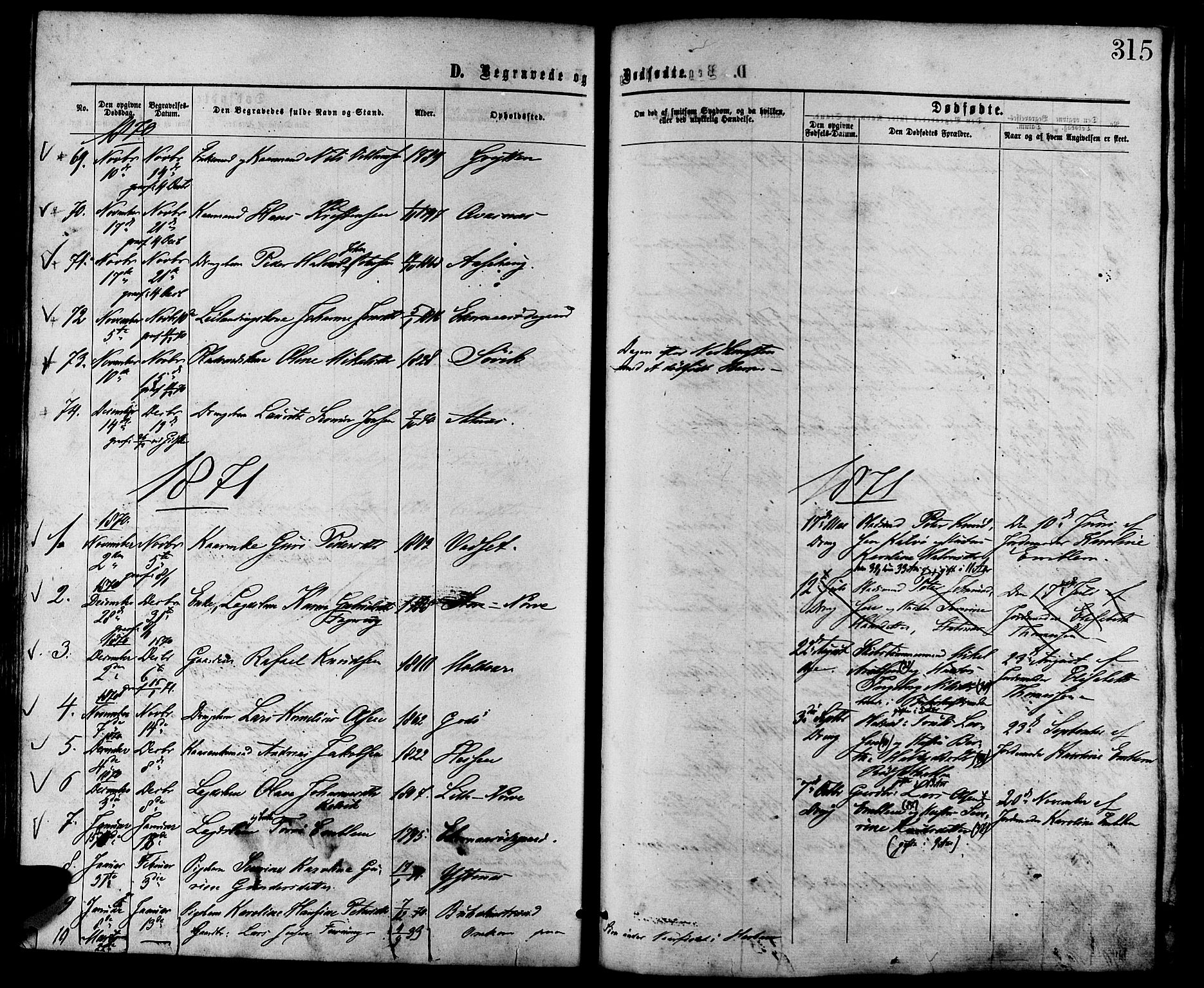 Ministerialprotokoller, klokkerbøker og fødselsregistre - Møre og Romsdal, AV/SAT-A-1454/528/L0399: Parish register (official) no. 528A10, 1864-1879, p. 315