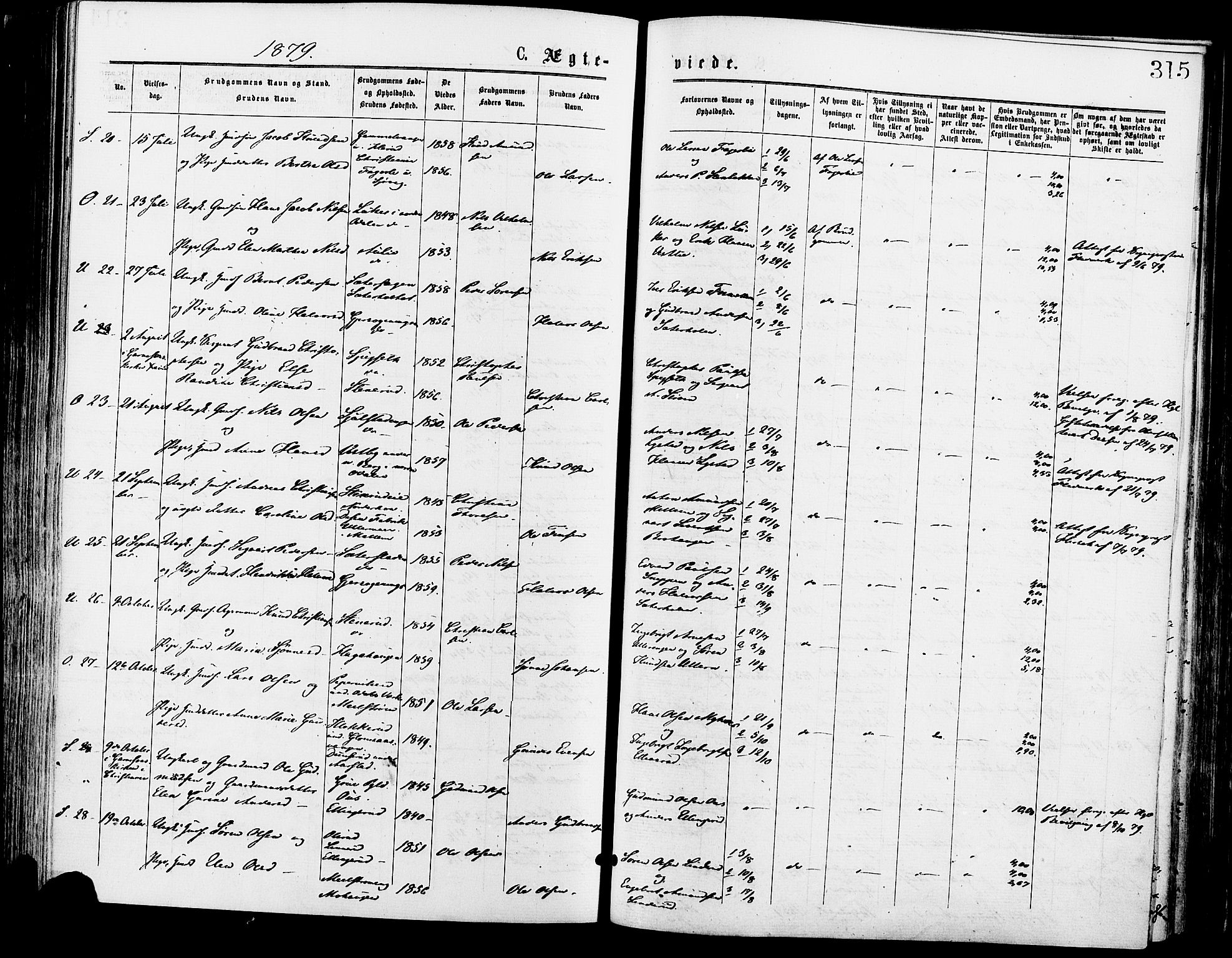 Sør-Odal prestekontor, AV/SAH-PREST-030/H/Ha/Haa/L0005: Parish register (official) no. 5, 1876-1885, p. 315