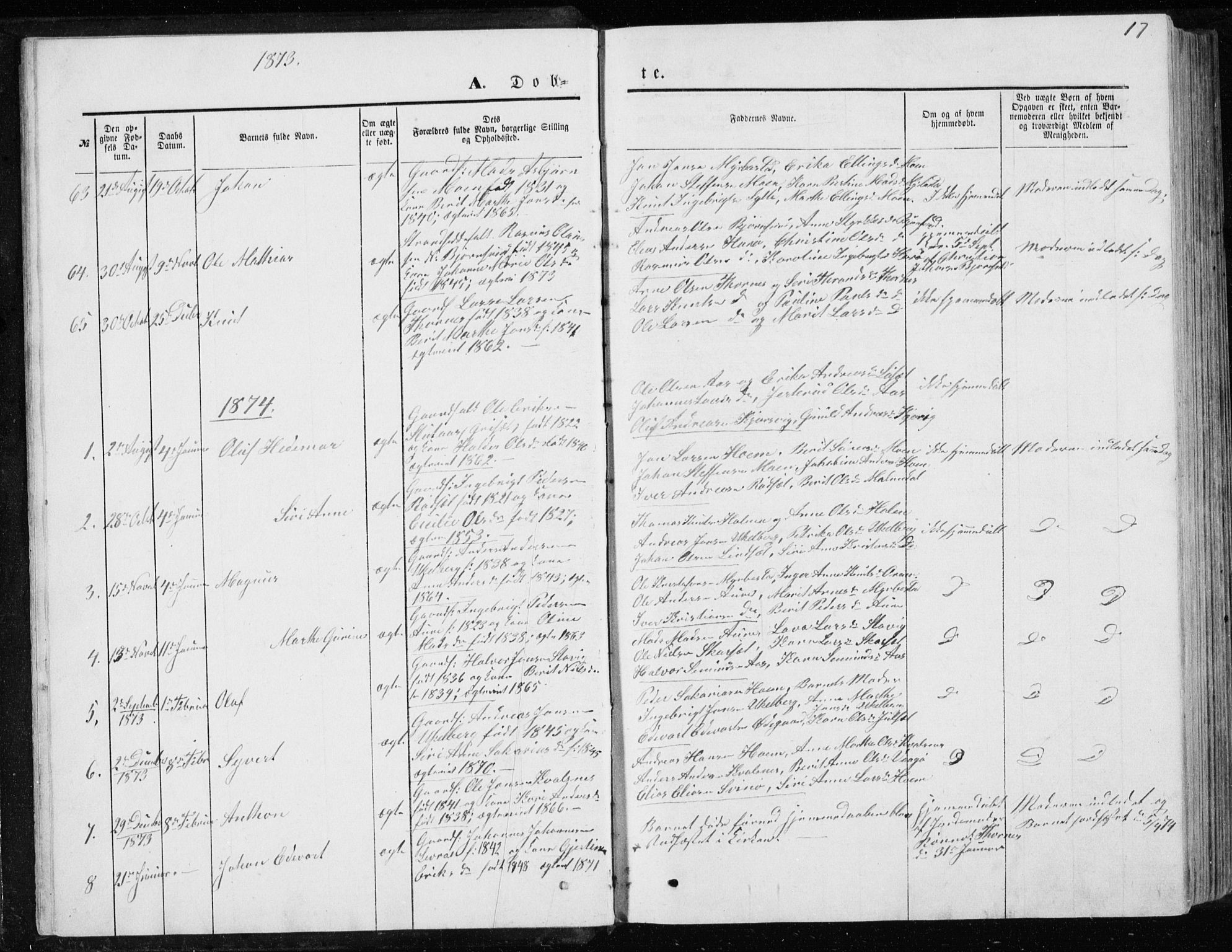 Ministerialprotokoller, klokkerbøker og fødselsregistre - Møre og Romsdal, SAT/A-1454/565/L0754: Parish register (copy) no. 565C03, 1870-1896, p. 17