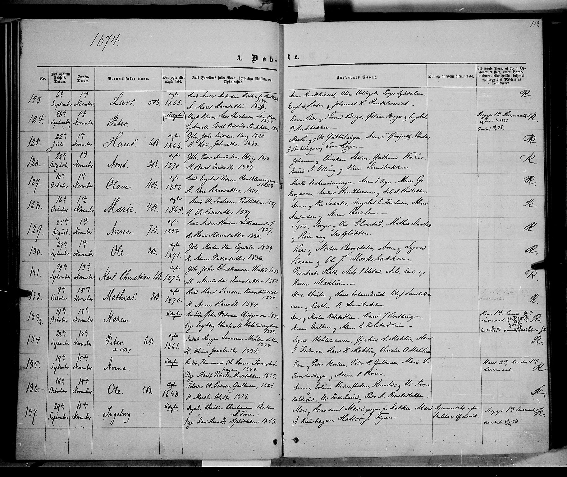 Ringebu prestekontor, AV/SAH-PREST-082/H/Ha/Haa/L0007: Parish register (official) no. 7, 1860-1877, p. 113