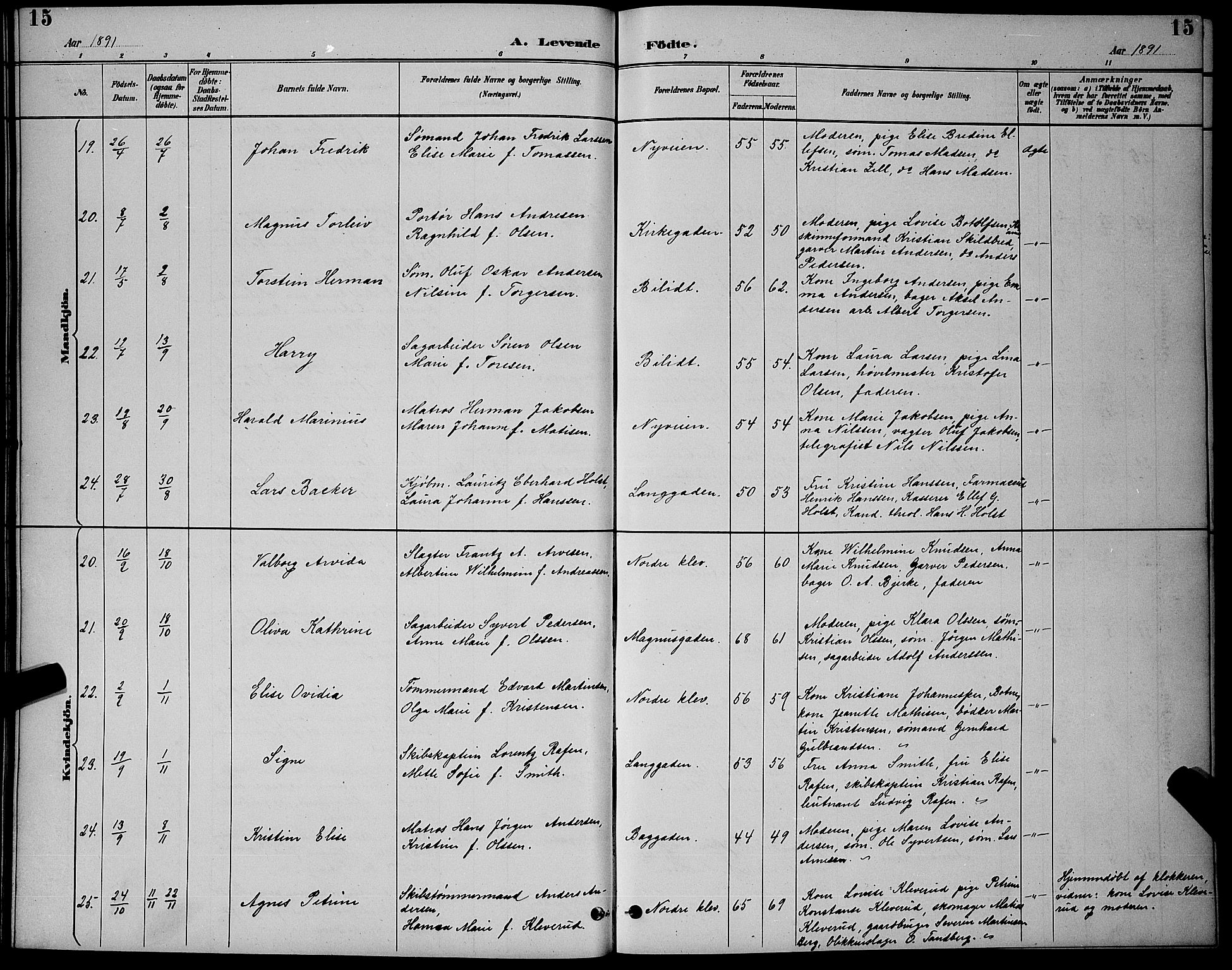 Holmestrand kirkebøker, AV/SAKO-A-346/G/Ga/L0005: Parish register (copy) no. 5, 1889-1901, p. 15