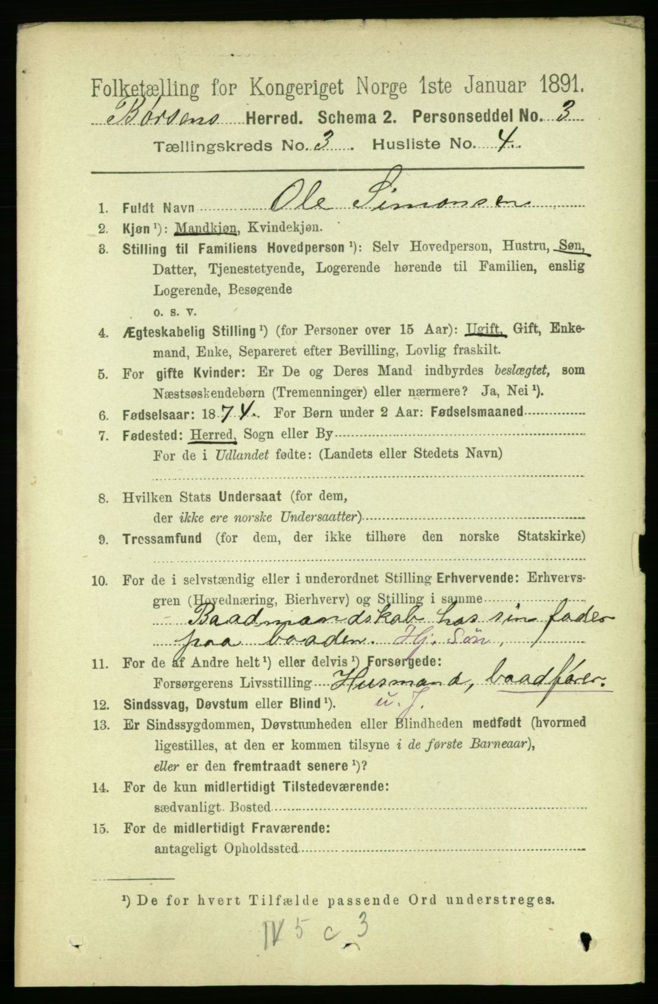 RA, 1891 census for 1658 Børsa, 1891, p. 890