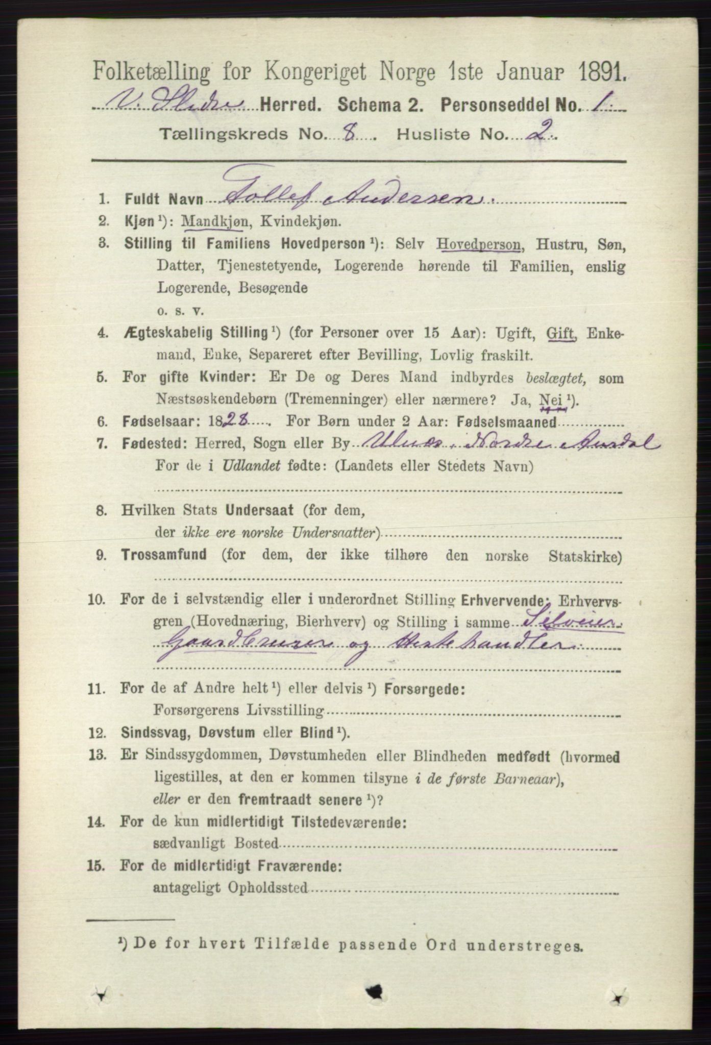 RA, 1891 census for 0543 Vestre Slidre, 1891, p. 2992