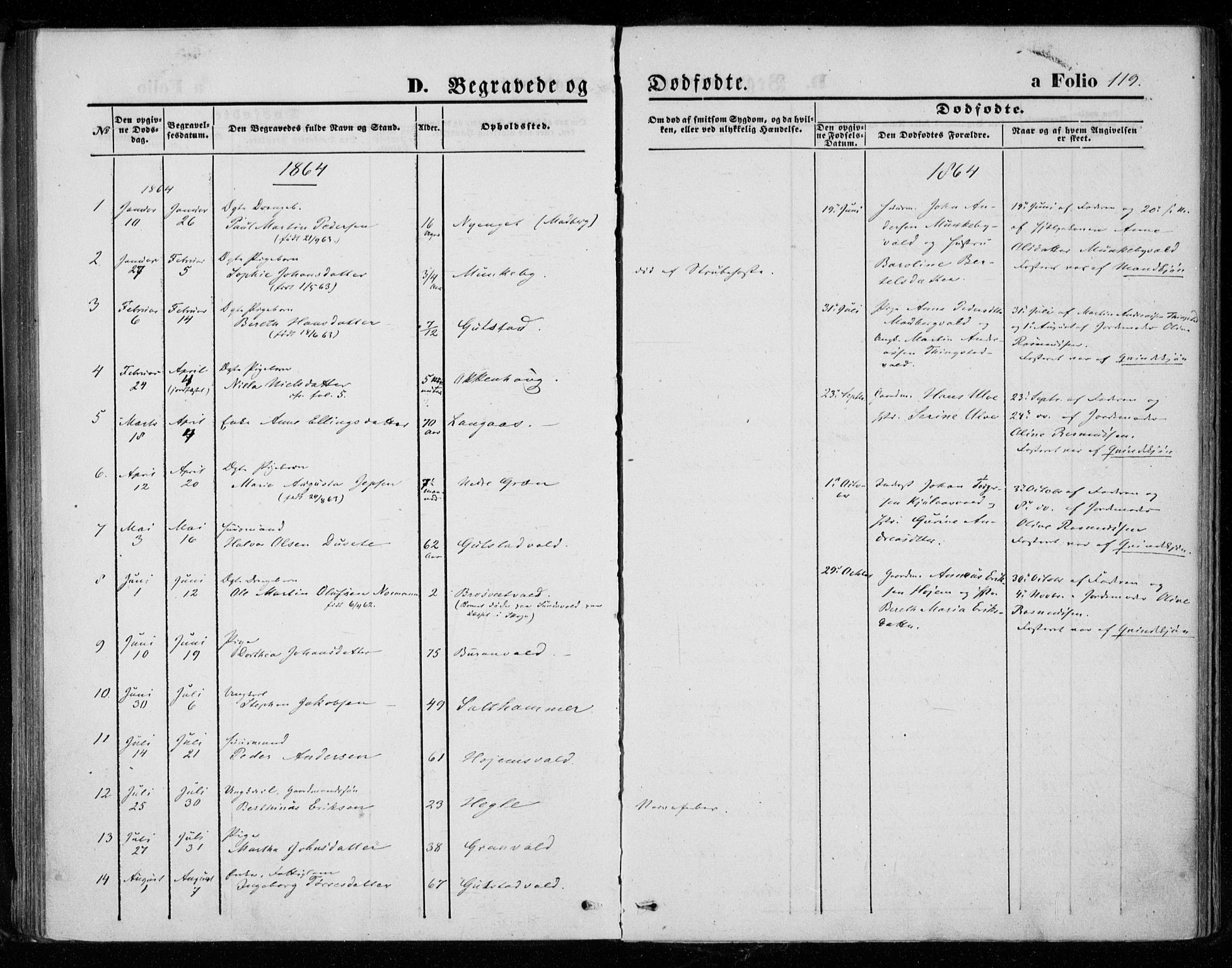 Ministerialprotokoller, klokkerbøker og fødselsregistre - Nord-Trøndelag, SAT/A-1458/721/L0206: Parish register (official) no. 721A01, 1864-1874, p. 119
