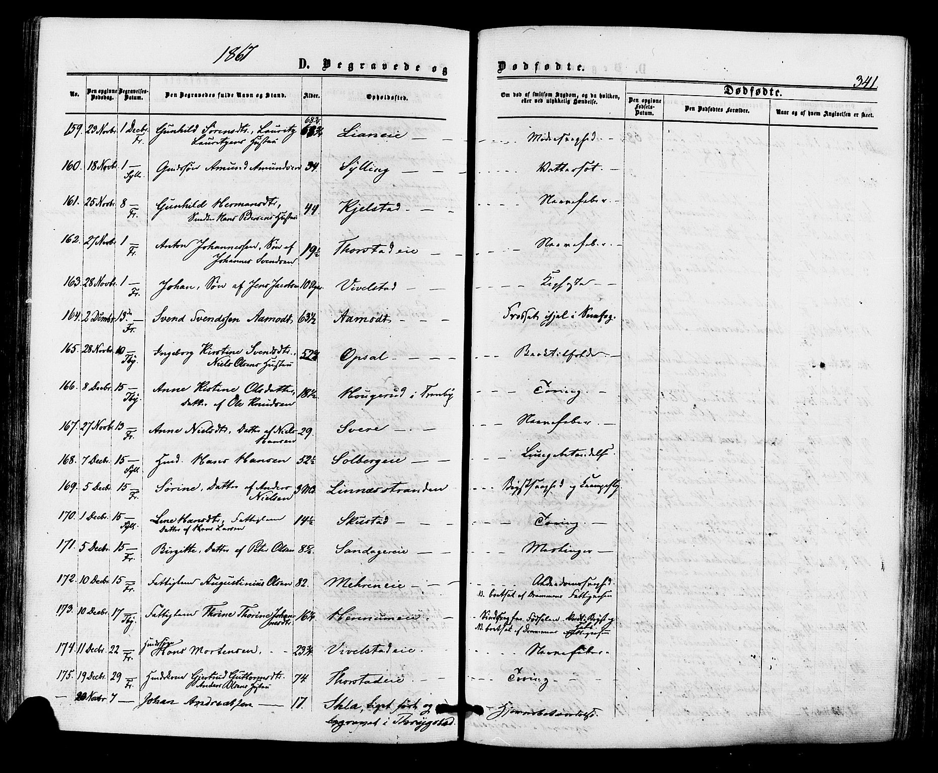 Lier kirkebøker, AV/SAKO-A-230/F/Fa/L0013: Parish register (official) no. I 13, 1865-1874, p. 341