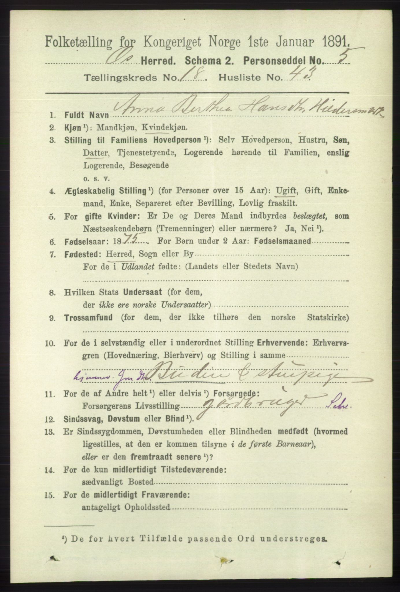 RA, 1891 census for 1243 Os, 1891, p. 4160