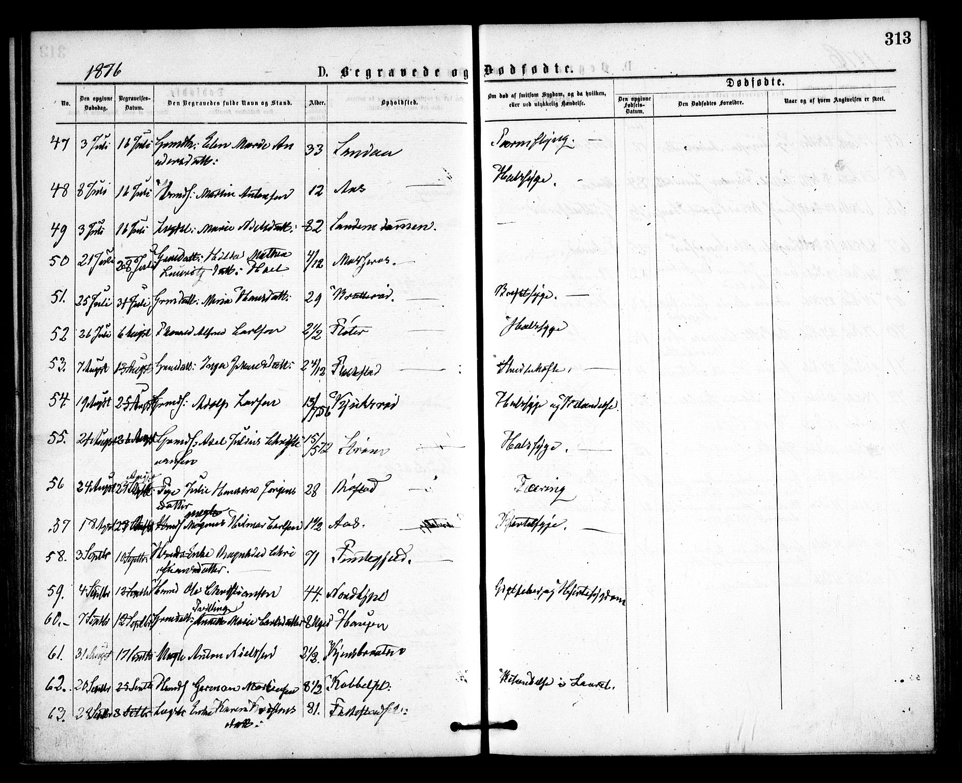 Våler prestekontor Kirkebøker, SAO/A-11083/F/Fa/L0009: Parish register (official) no. I 9, 1873-1877, p. 313