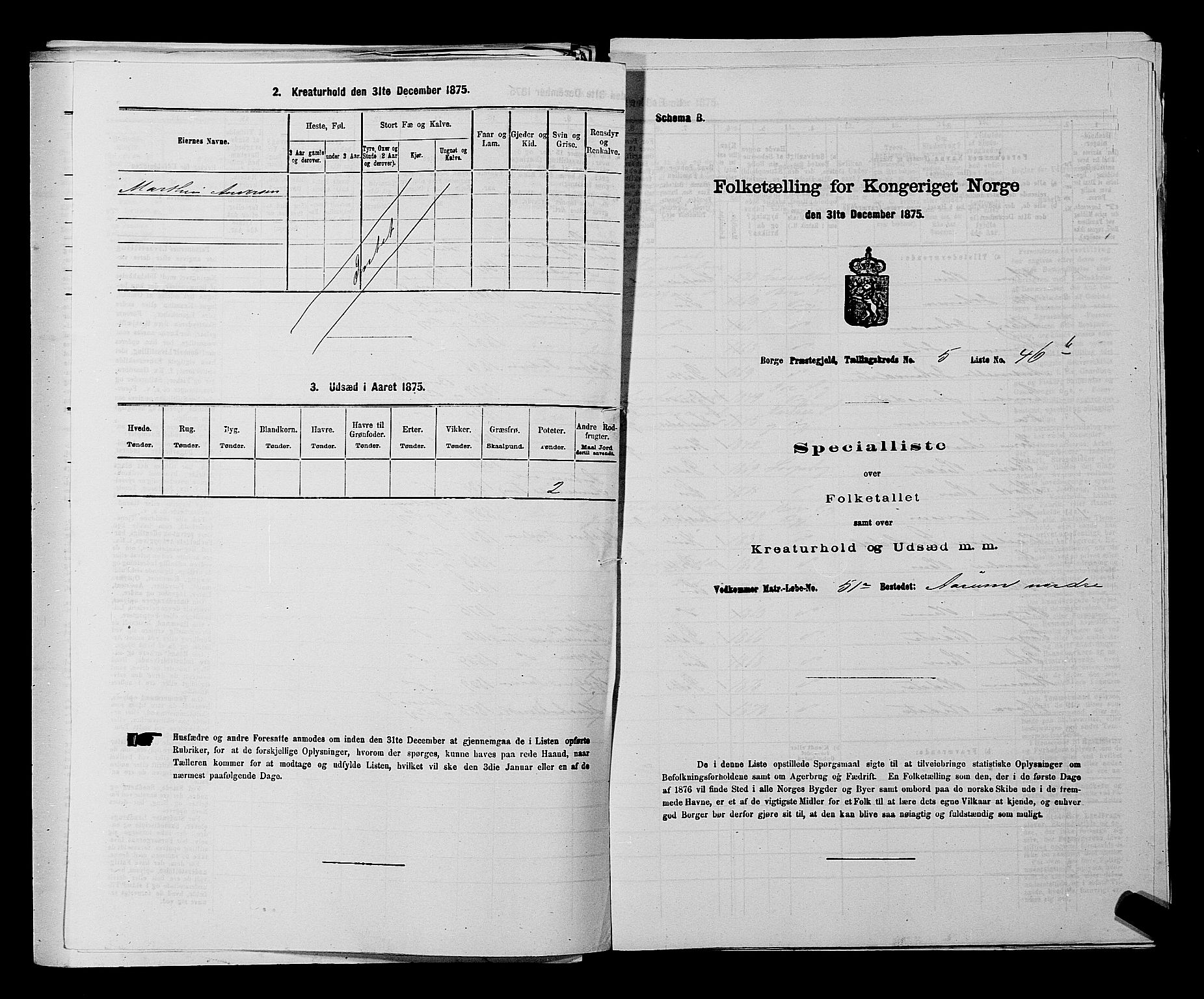 RA, 1875 census for 0113P Borge, 1875, p. 782