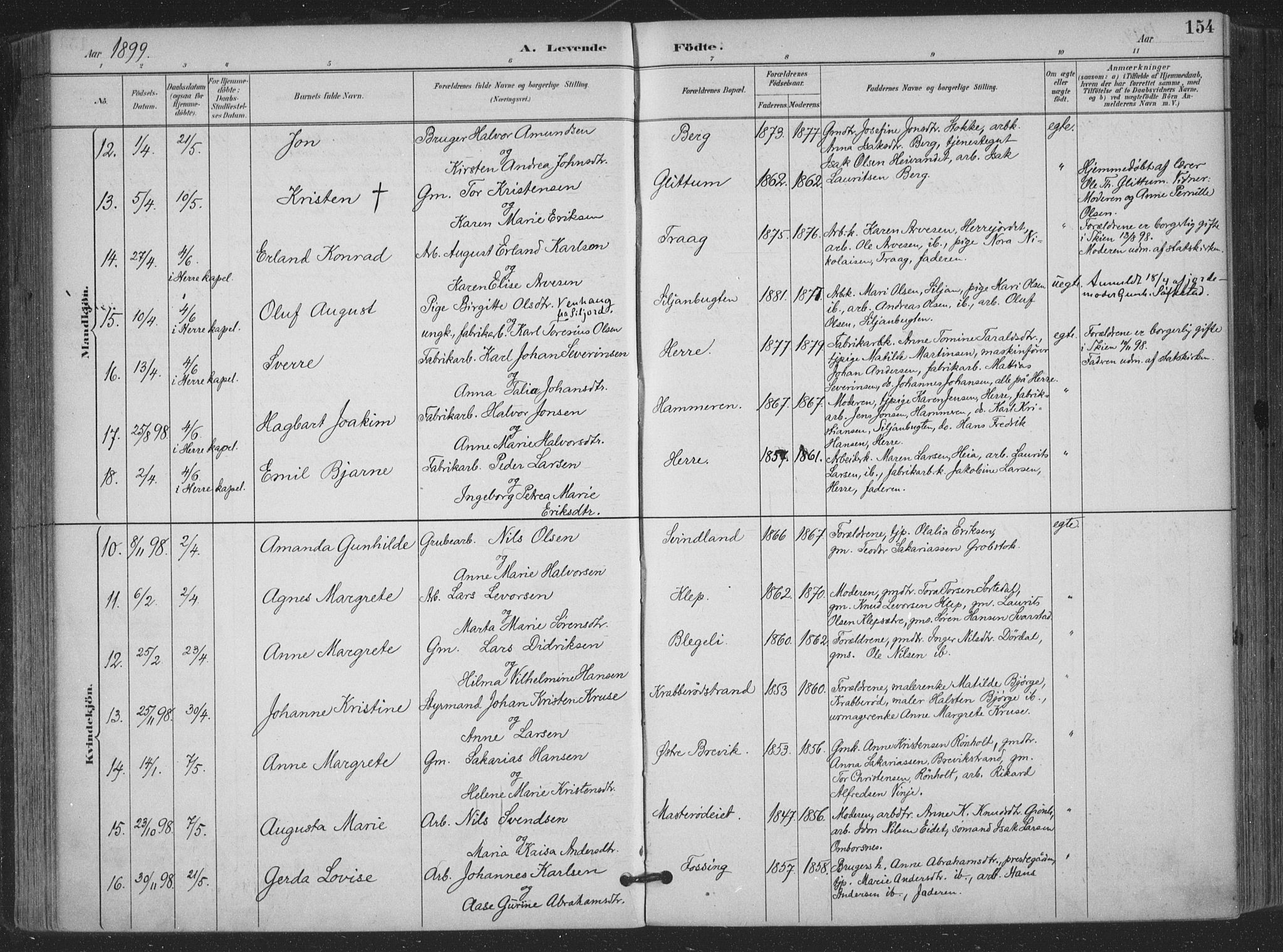 Bamble kirkebøker, AV/SAKO-A-253/F/Fa/L0008: Parish register (official) no. I 8, 1888-1900, p. 154