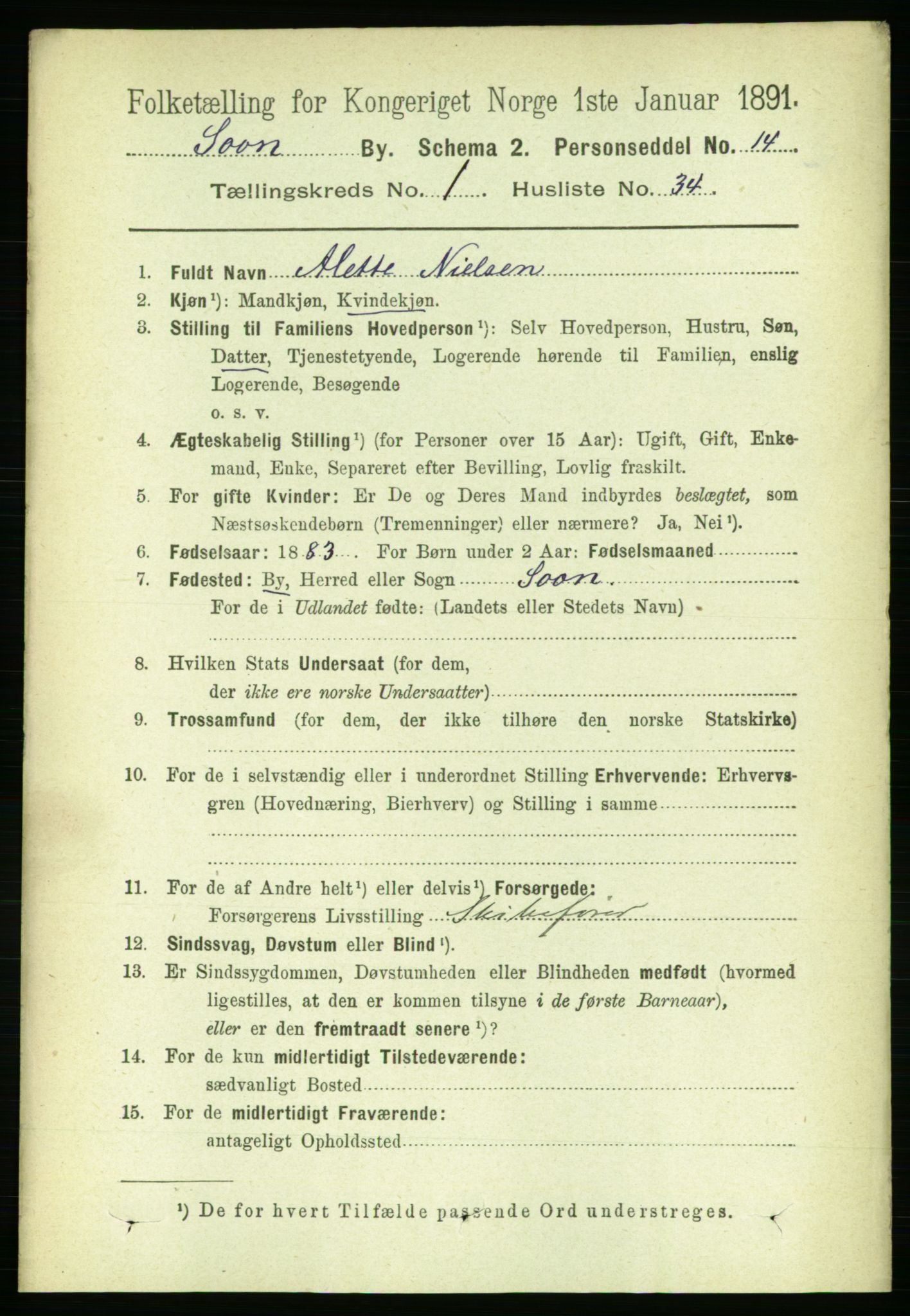 RA, 1891 census for 0201 Son, 1891, p. 316