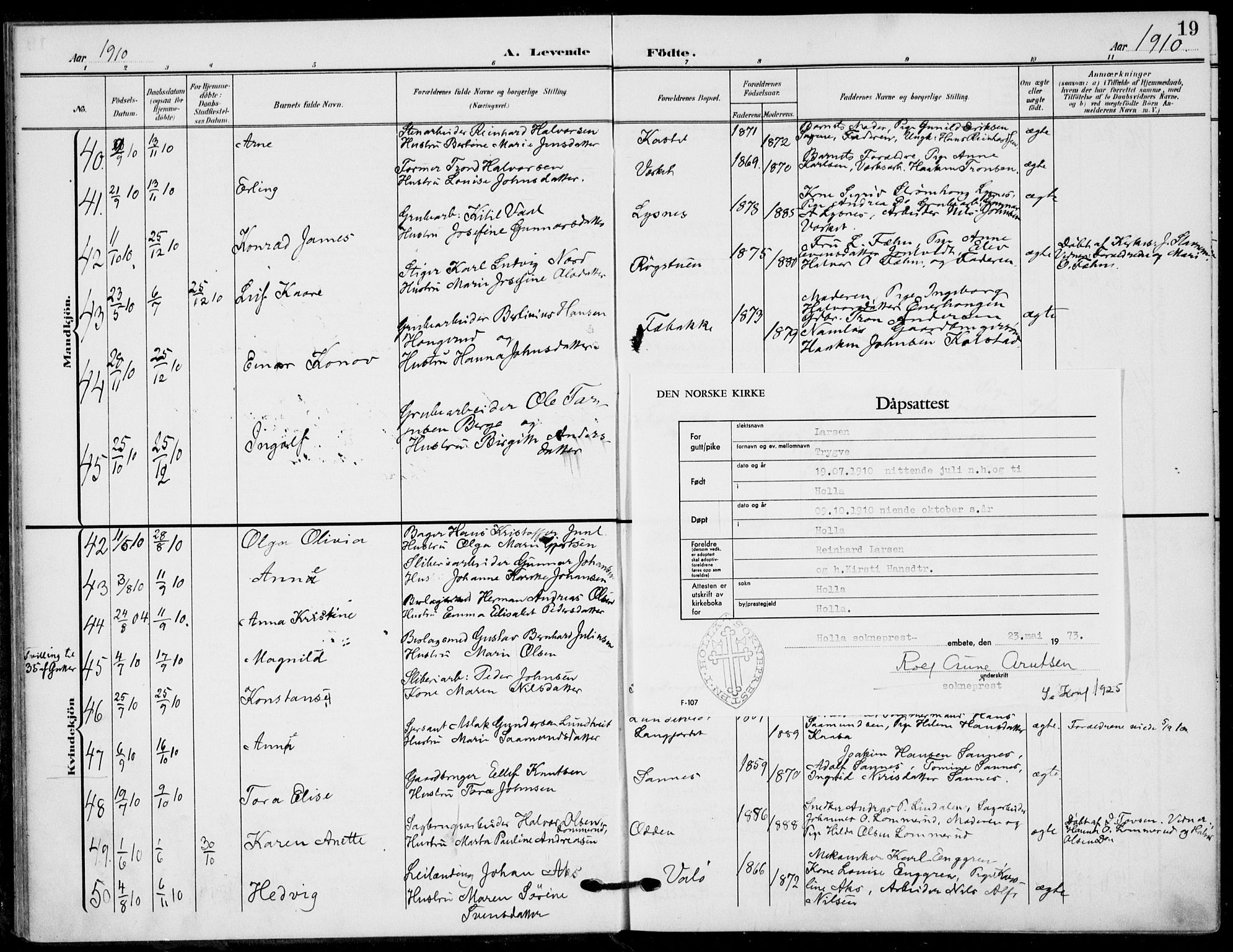 Holla kirkebøker, AV/SAKO-A-272/F/Fa/L0012: Parish register (official) no. 12, 1907-1923, p. 19