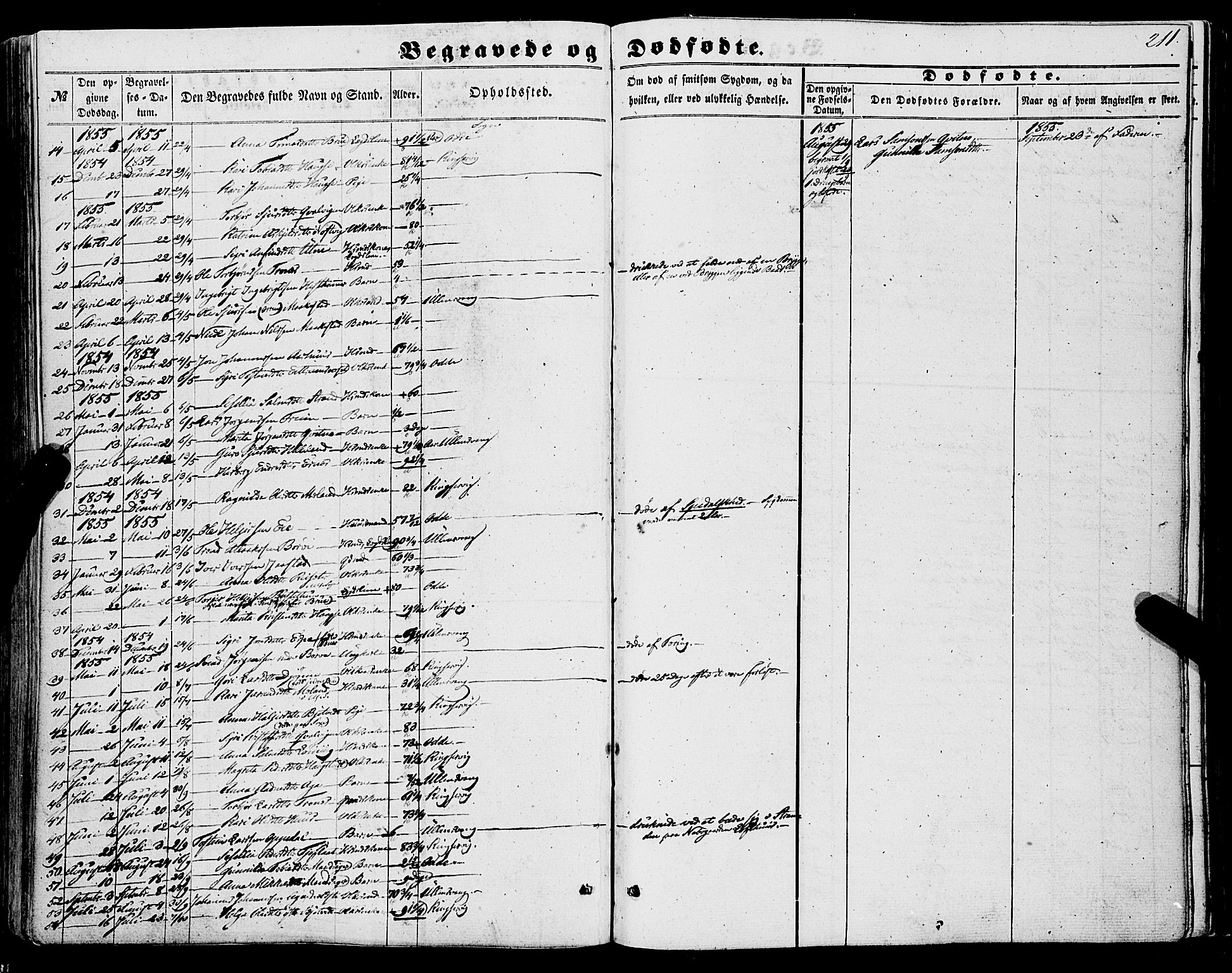 Ullensvang sokneprestembete, AV/SAB-A-78701/H/Haa: Parish register (official) no. A 11, 1854-1866, p. 211