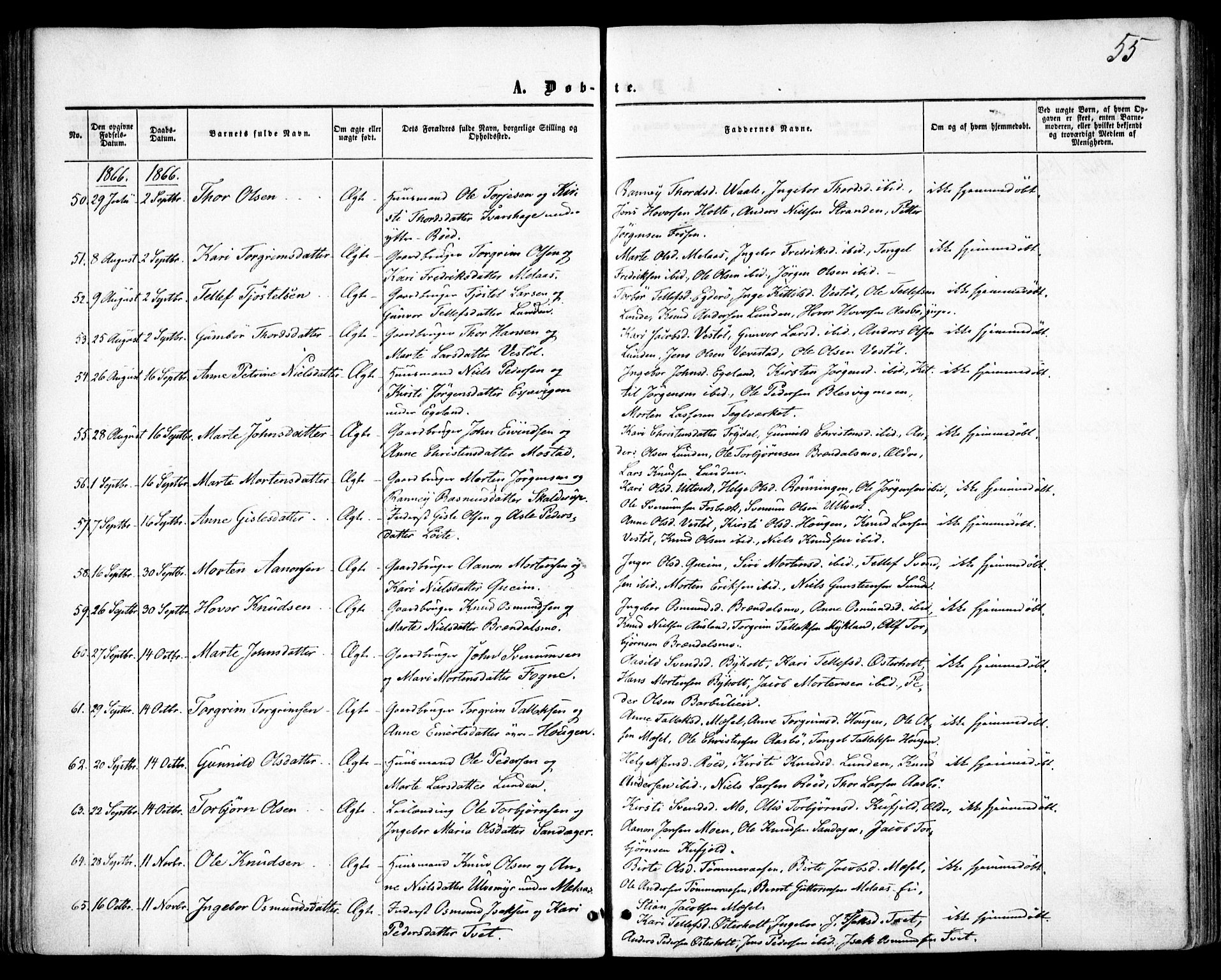 Gjerstad sokneprestkontor, SAK/1111-0014/F/Fa/Faa/L0007: Parish register (official) no. A 7, 1858-1875, p. 55