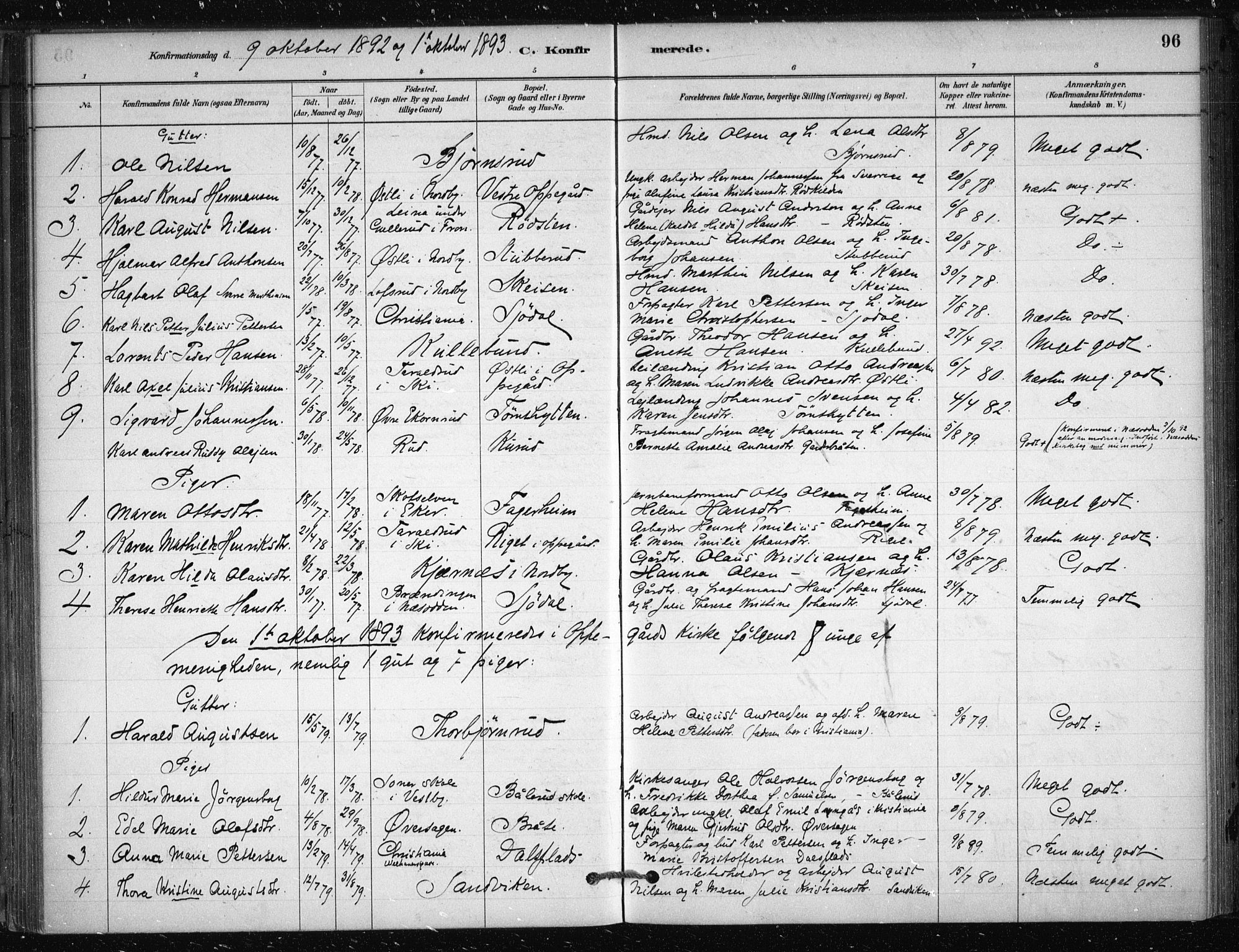 Nesodden prestekontor Kirkebøker, SAO/A-10013/F/Fb/L0001: Parish register (official) no. II 1, 1880-1915, p. 96