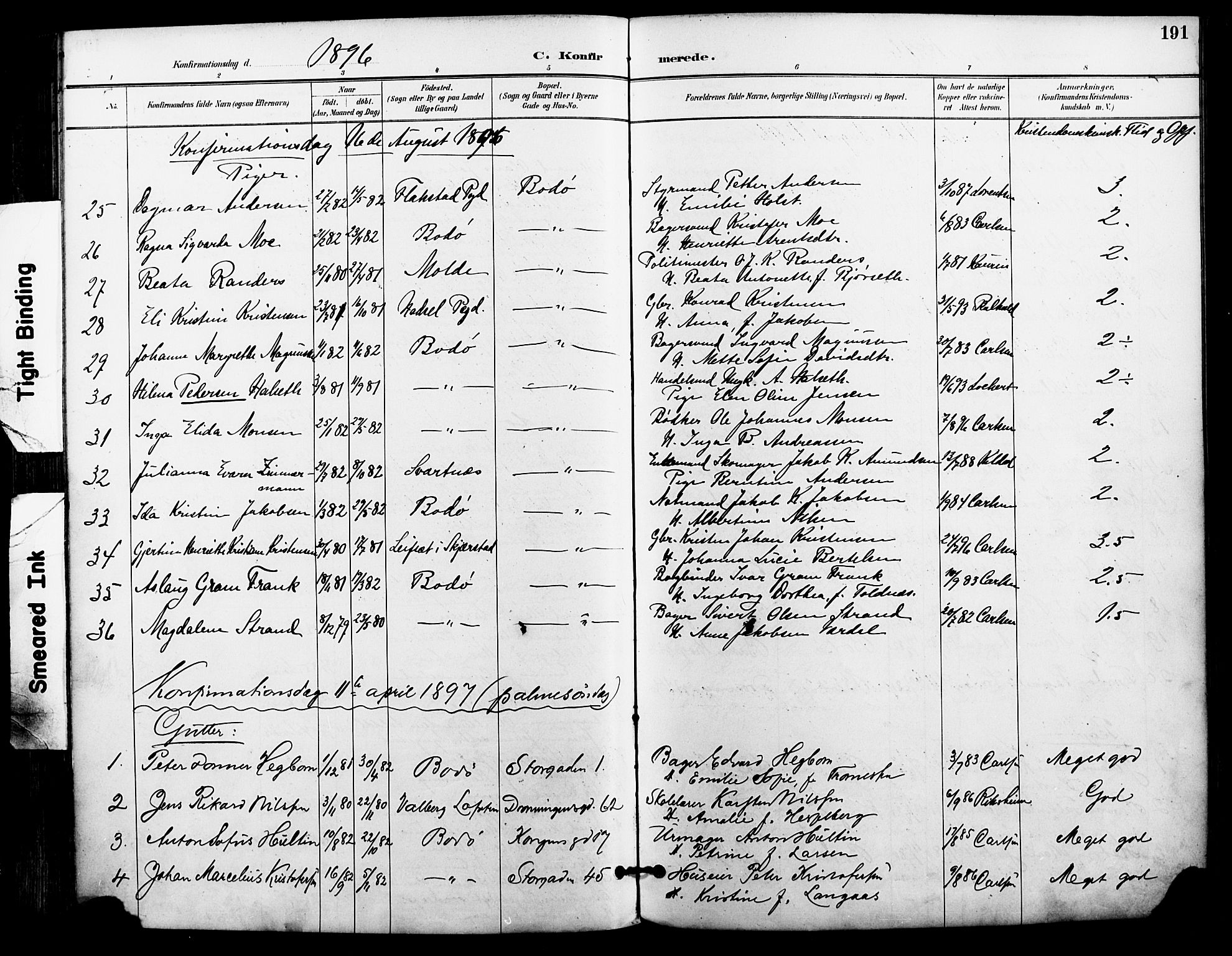 Ministerialprotokoller, klokkerbøker og fødselsregistre - Nordland, AV/SAT-A-1459/801/L0010: Parish register (official) no. 801A10, 1888-1899, p. 191