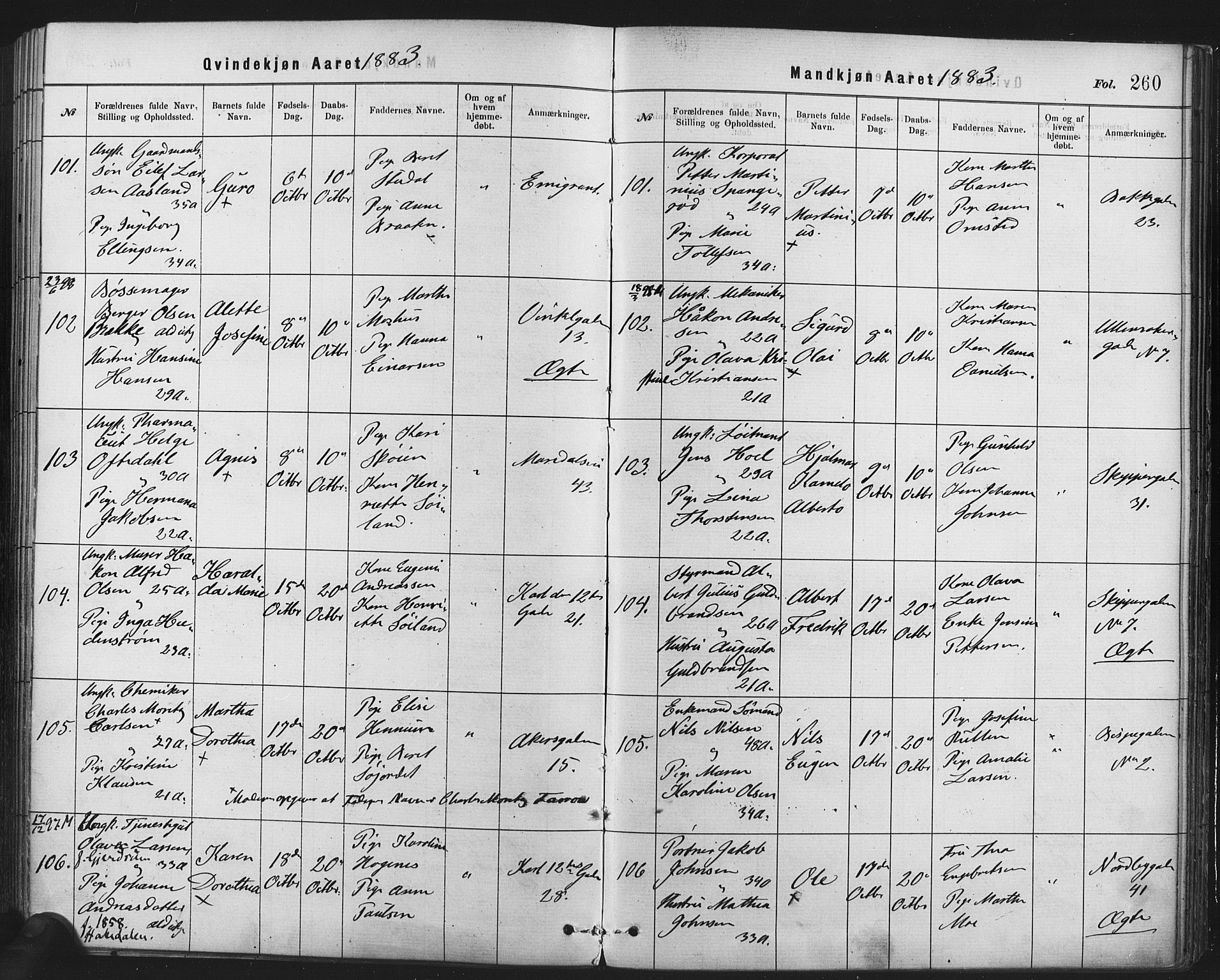 Rikshospitalet prestekontor Kirkebøker, SAO/A-10309b/F/L0006: Parish register (official) no. 6, 1871-1885, p. 260