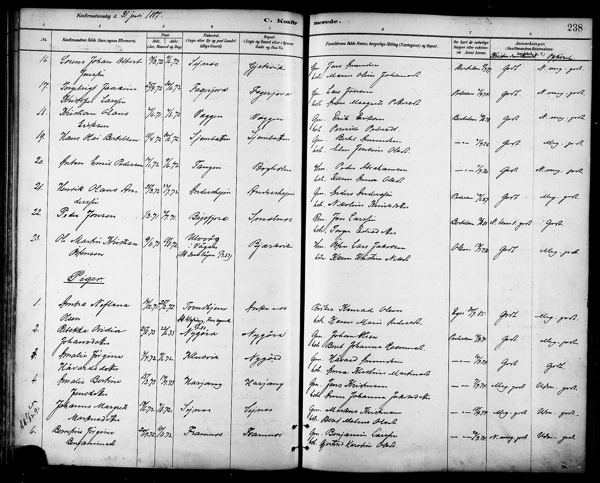 Ministerialprotokoller, klokkerbøker og fødselsregistre - Nordland, AV/SAT-A-1459/866/L0938: Parish register (official) no. 866A01, 1879-1893, p. 238