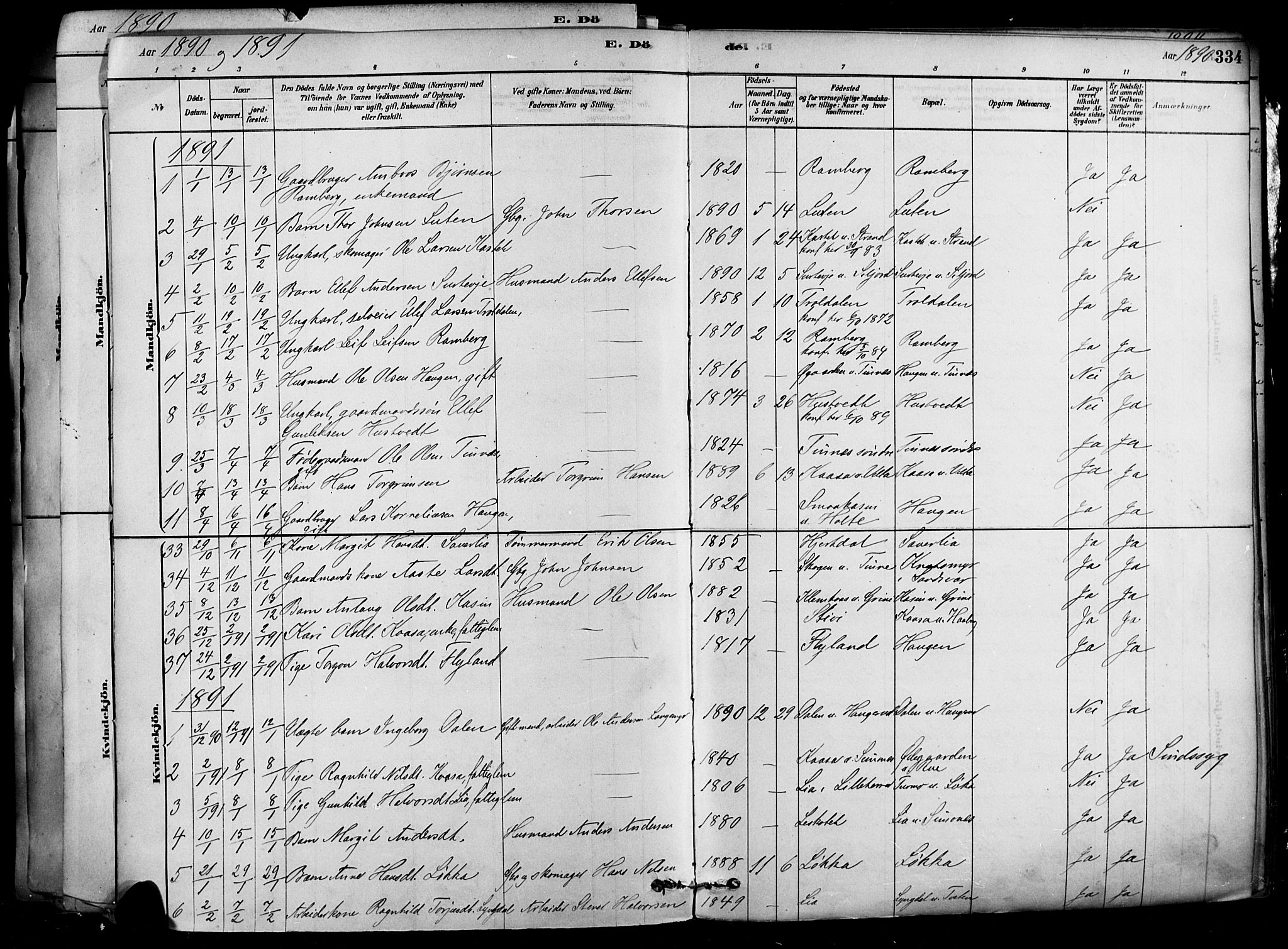 Heddal kirkebøker, SAKO/A-268/F/Fa/L0008: Parish register (official) no. I 8, 1878-1903, p. 334